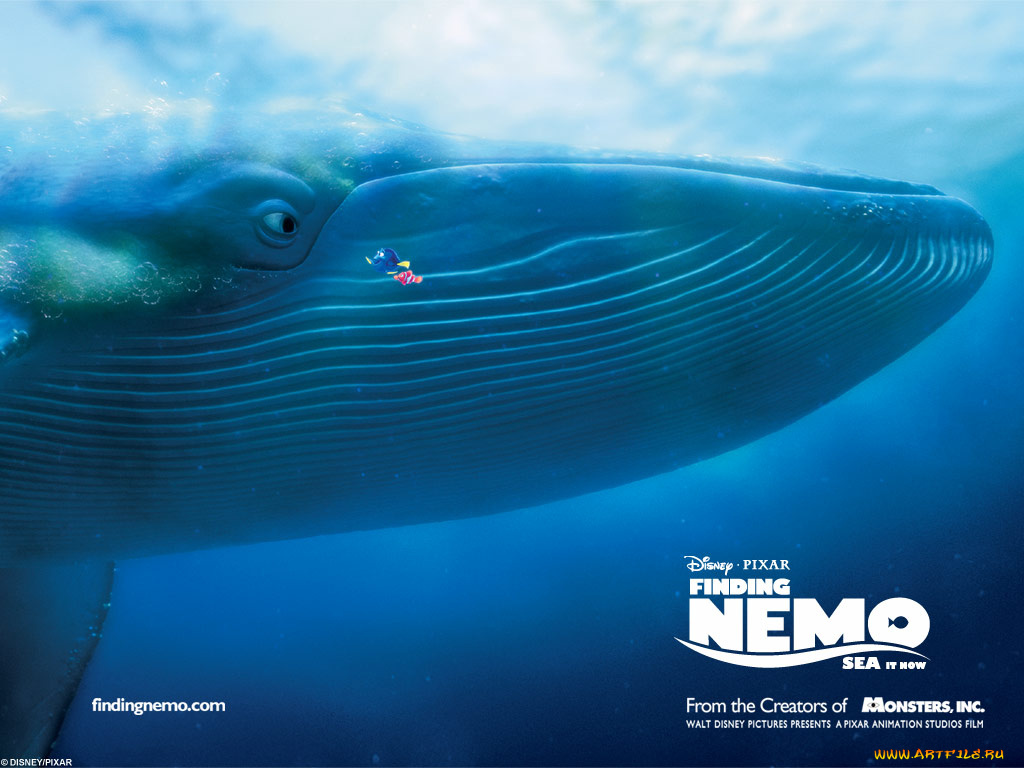 мультфильмы, finding, nemo