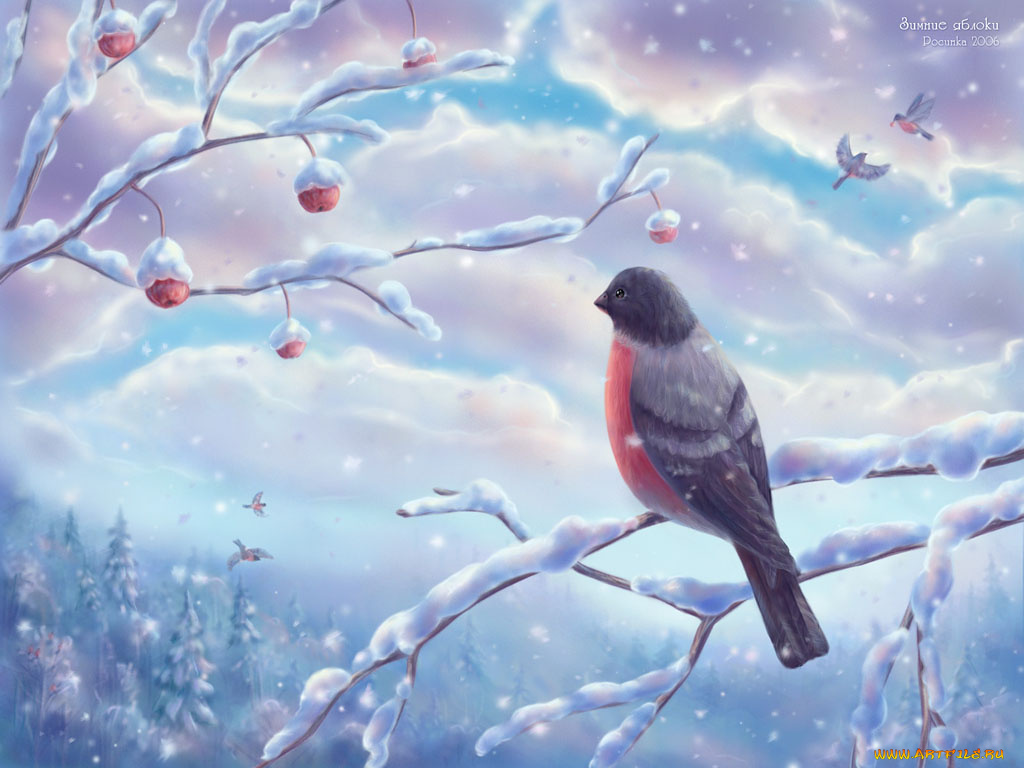 рисованные, животные, птицы