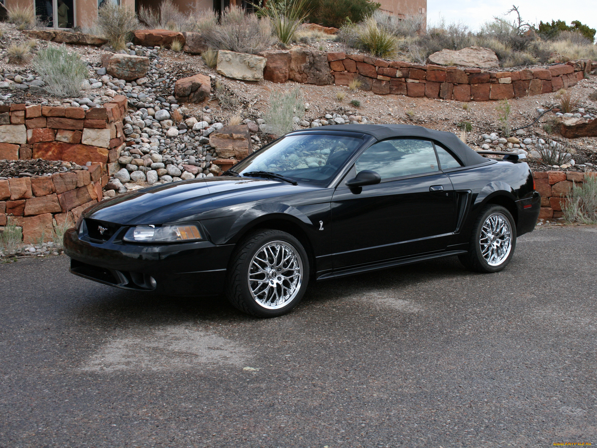 автомобили, mustang