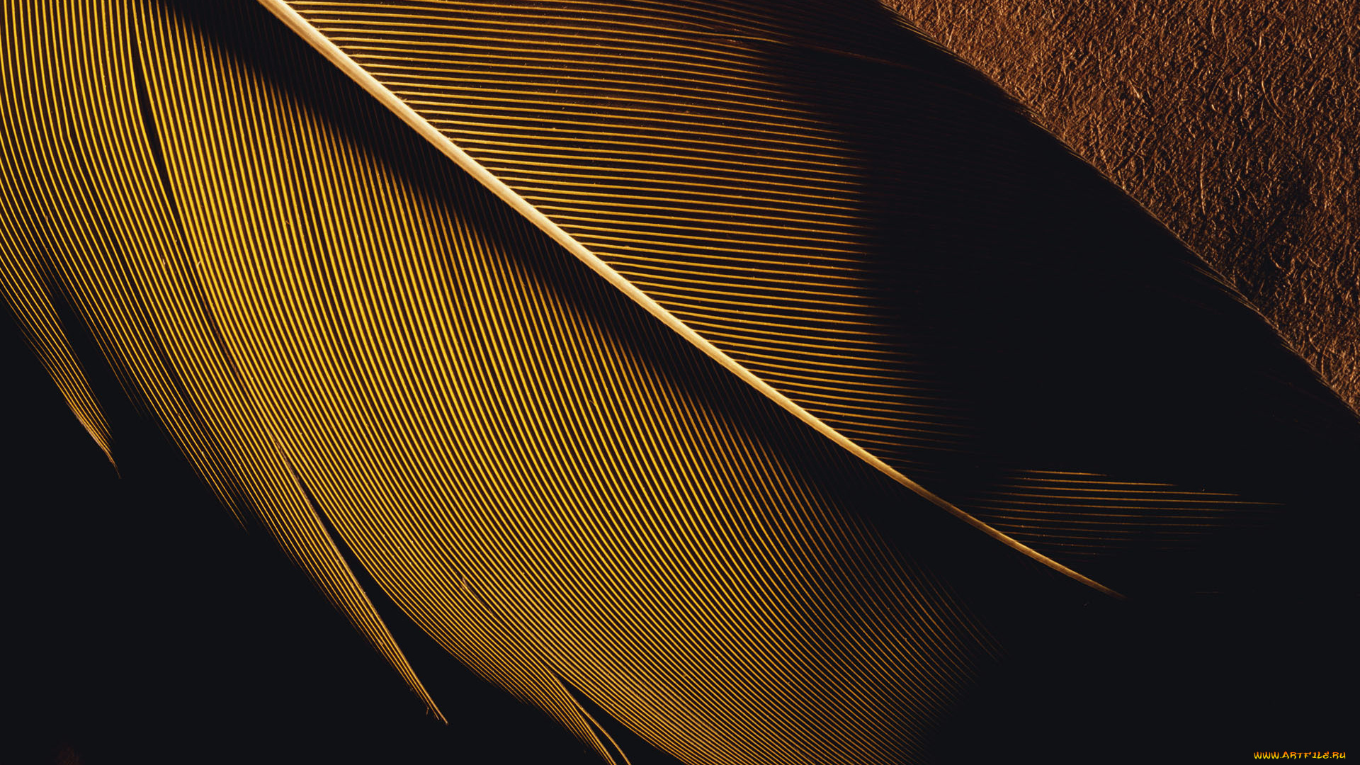 3д, графика, textures, текстуры, перышко