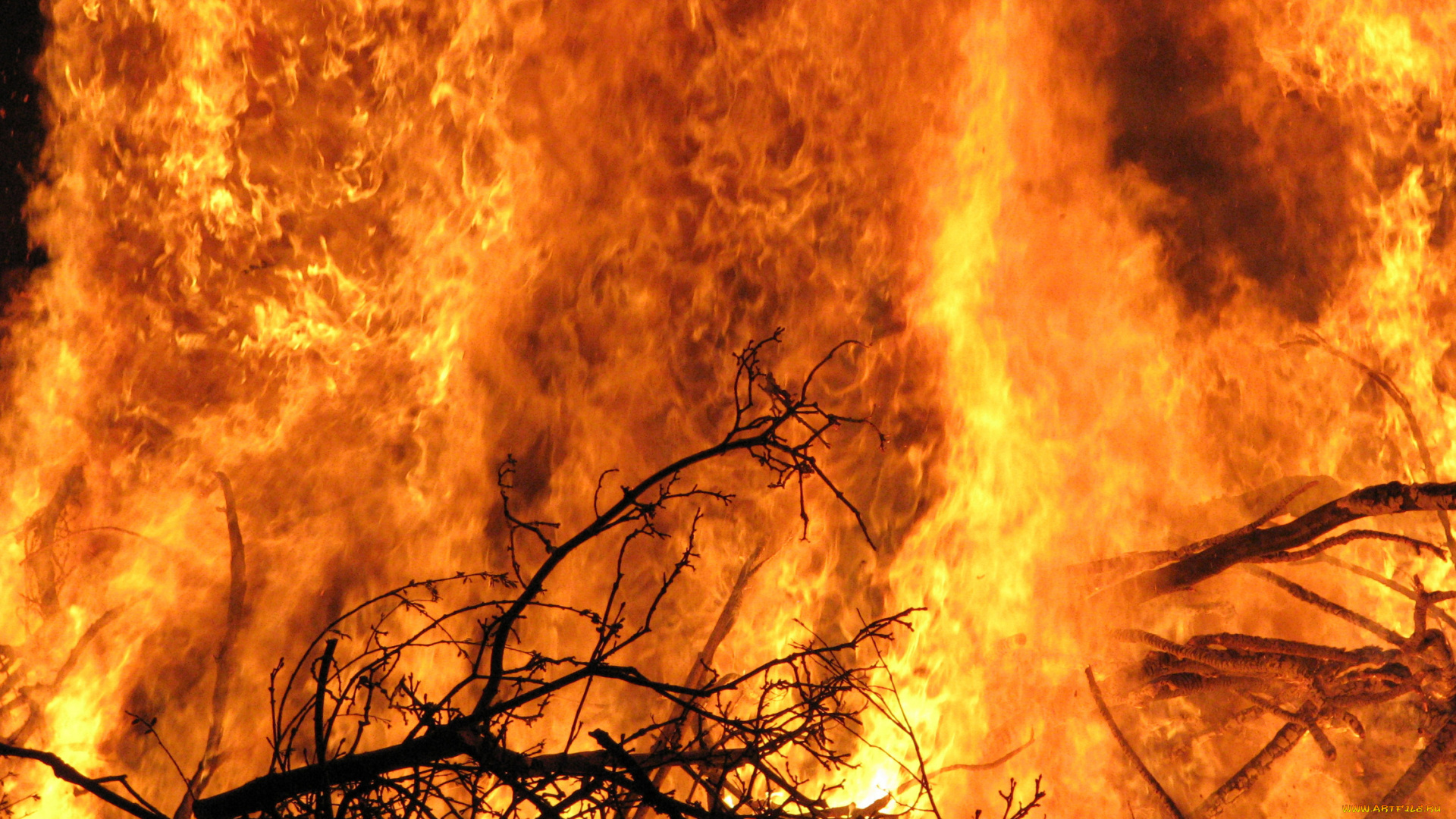 природа, огонь, пожар, деревья, костер