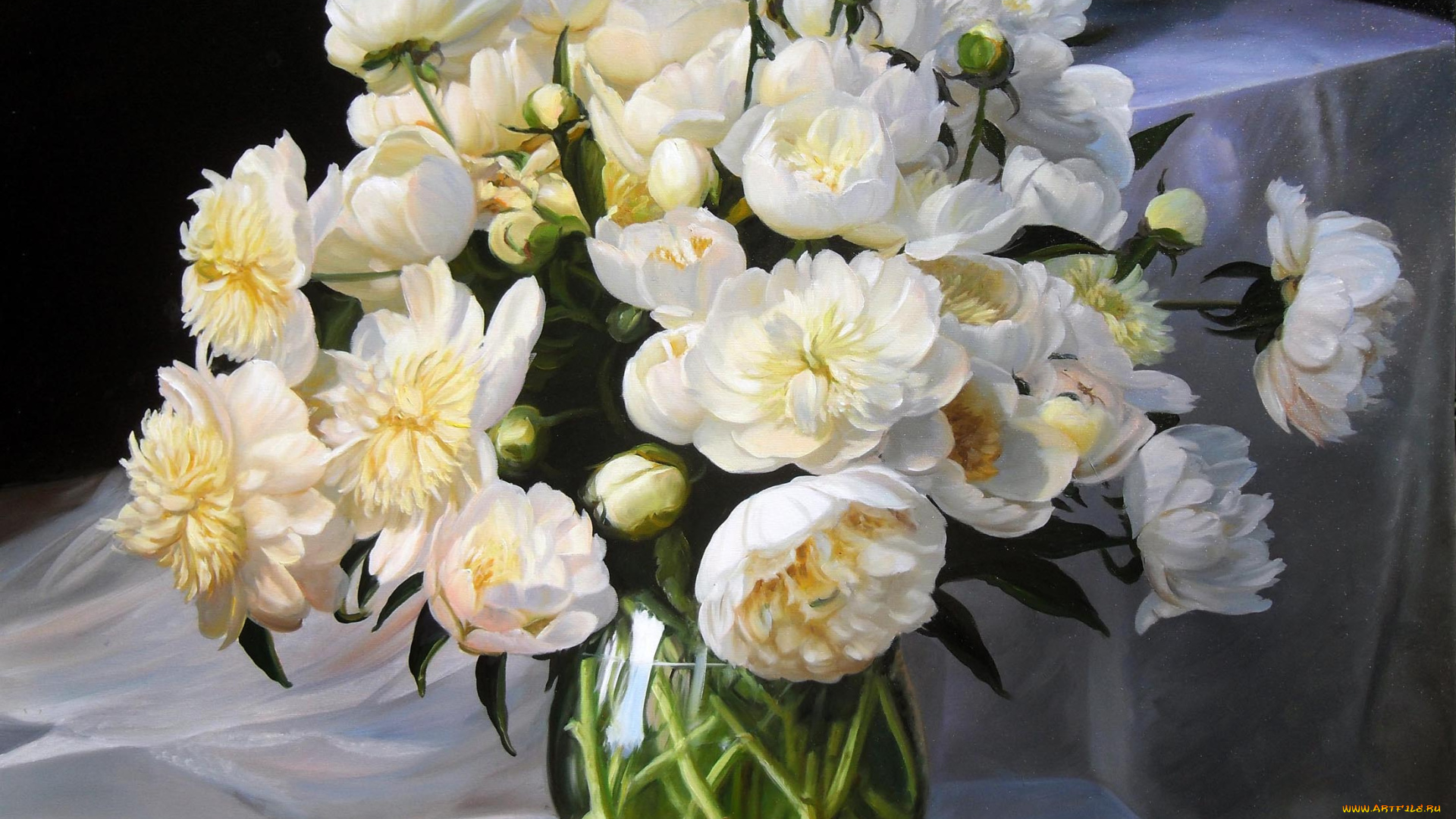 zbigniew, kopania, рисованные, пионы, ваза