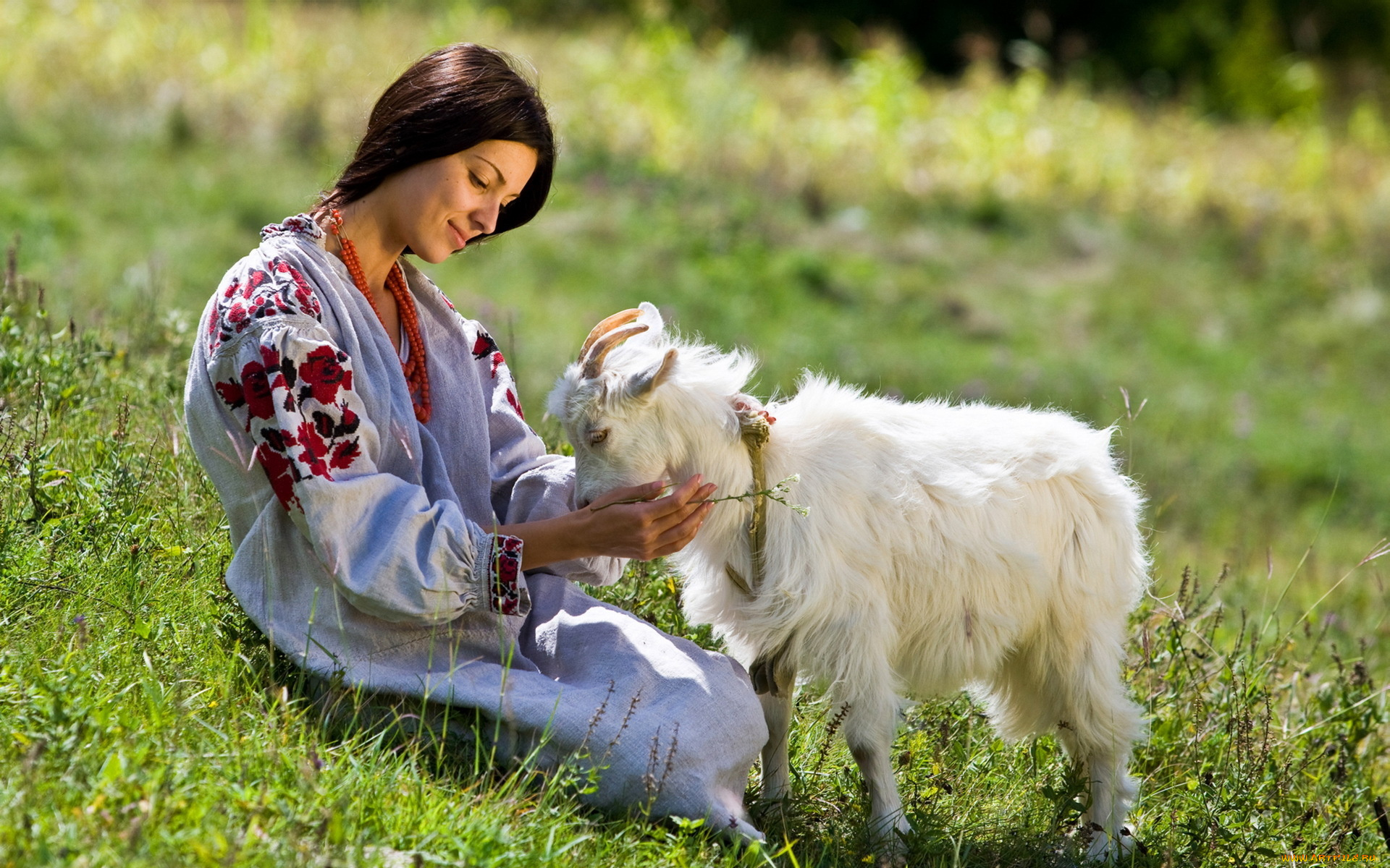 _Unsort, -НЕ, ВЫБИРАТЬ, , , девушки, , не, выбирать, коза