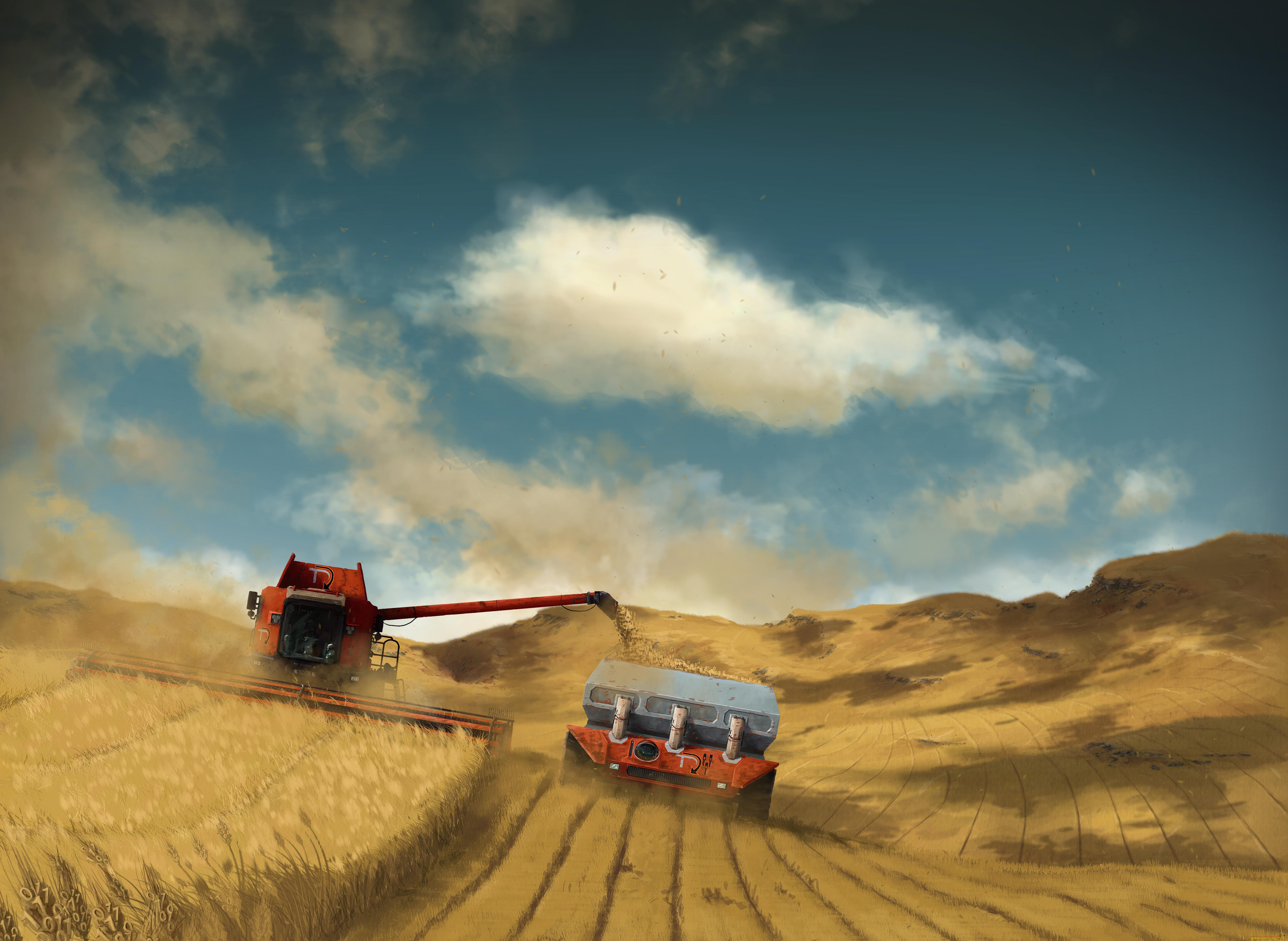 рисованные, природа, поле, урожай, комбайн