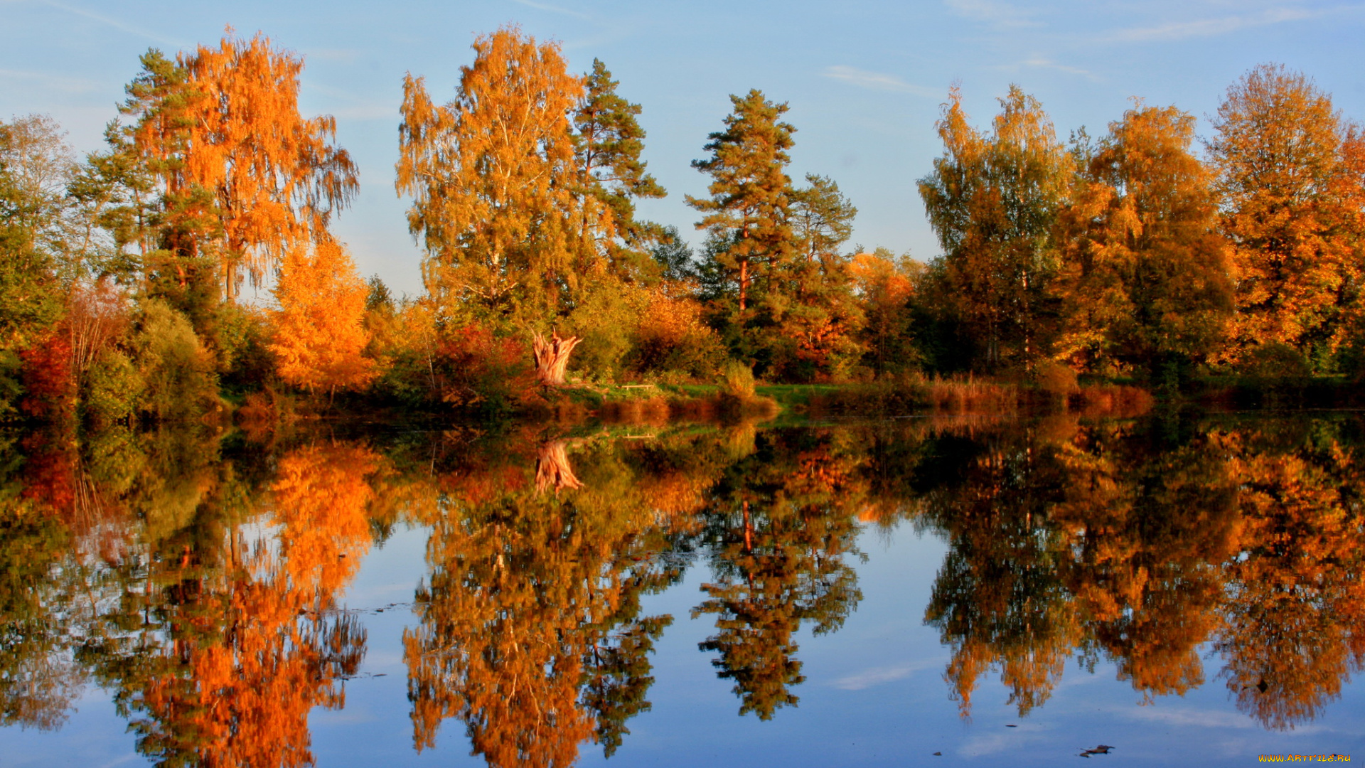 германия, лаупхайм, природа, реки, озера, река, осень, лес