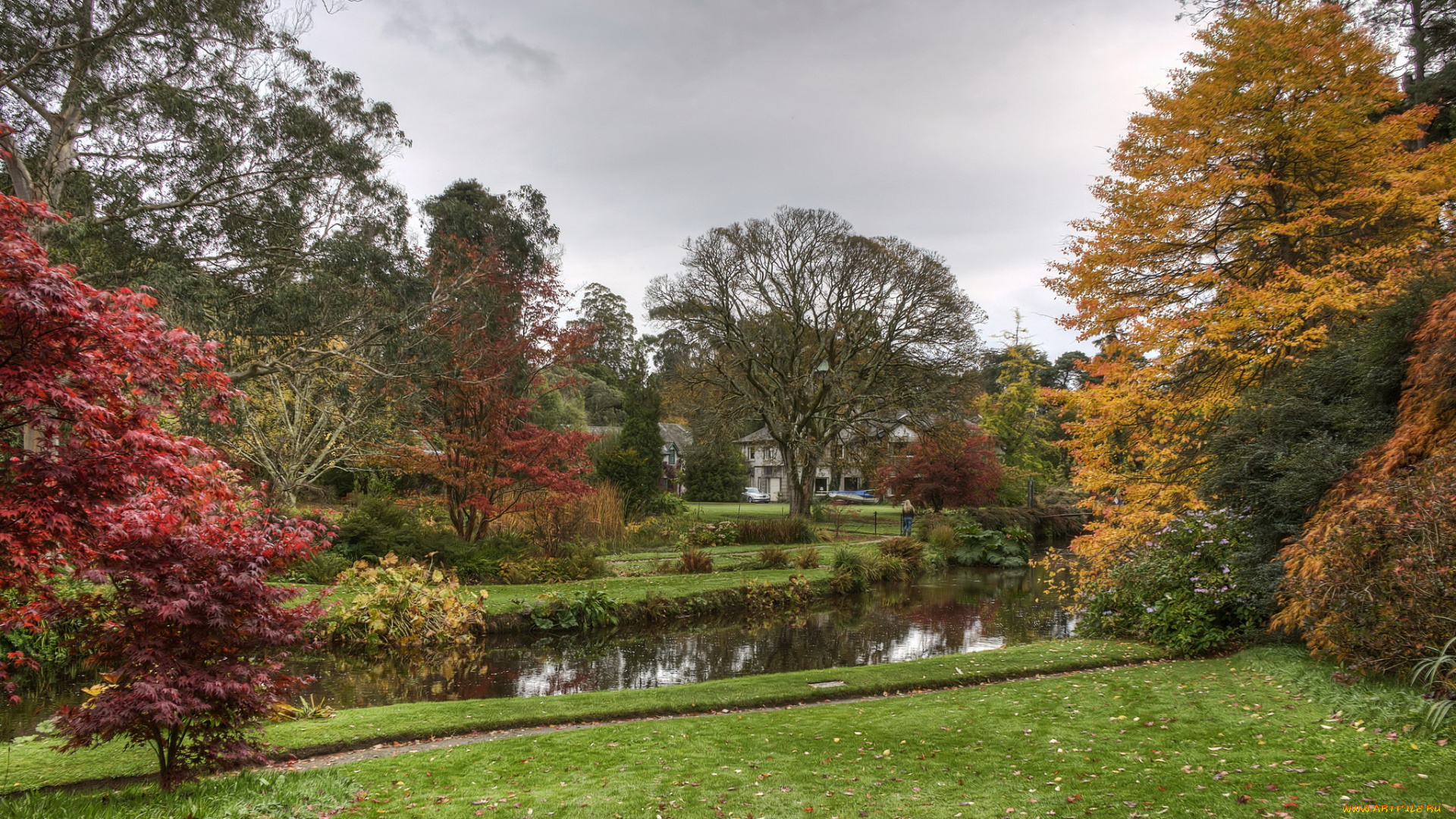 mount, usher, gardens, ирландия, природа, парк, растения, река, дорожки