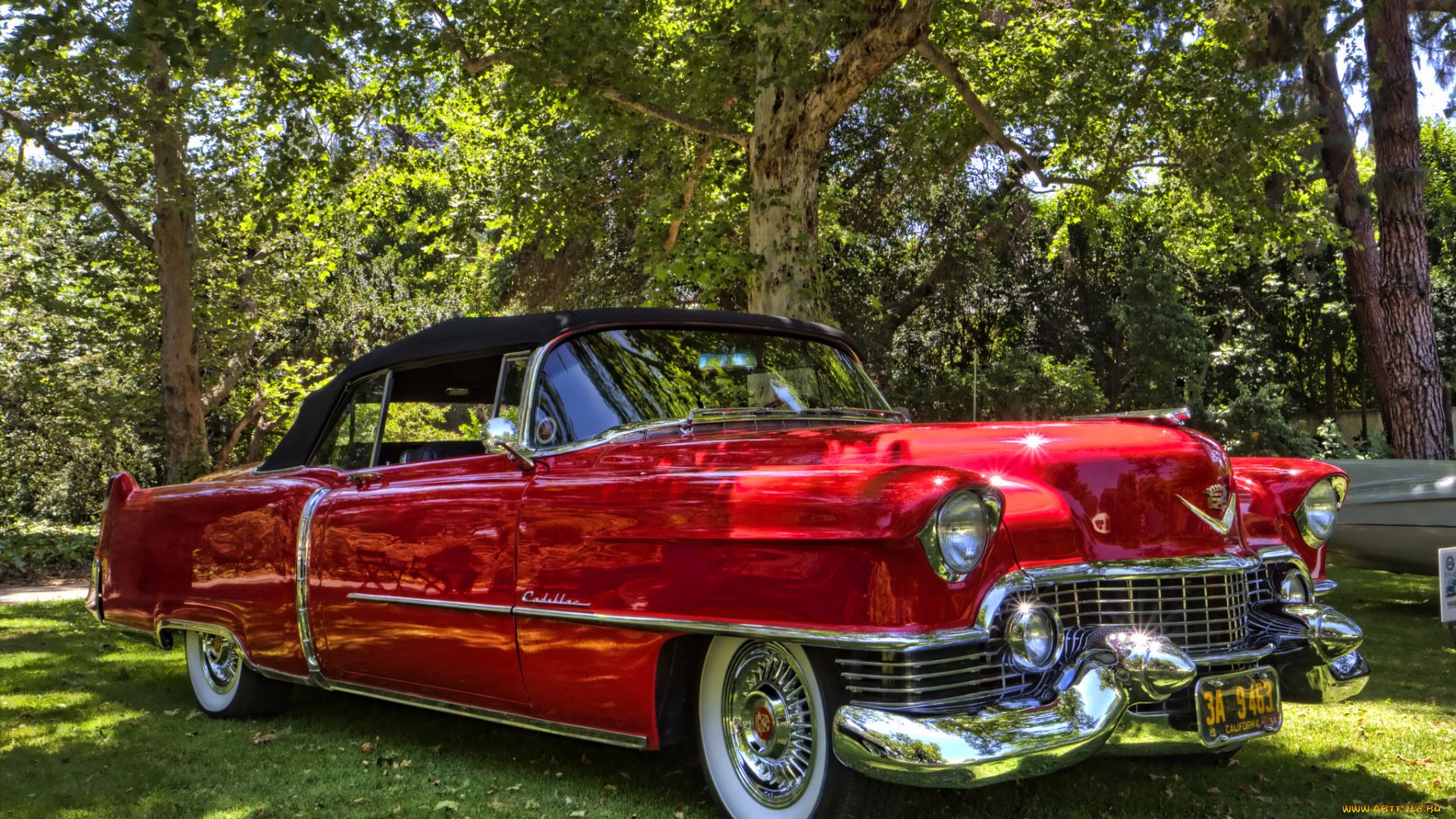 1954, cadillac, series, 62, convertible, автомобили, выставки, и, уличные, фото, выставка, автошоу