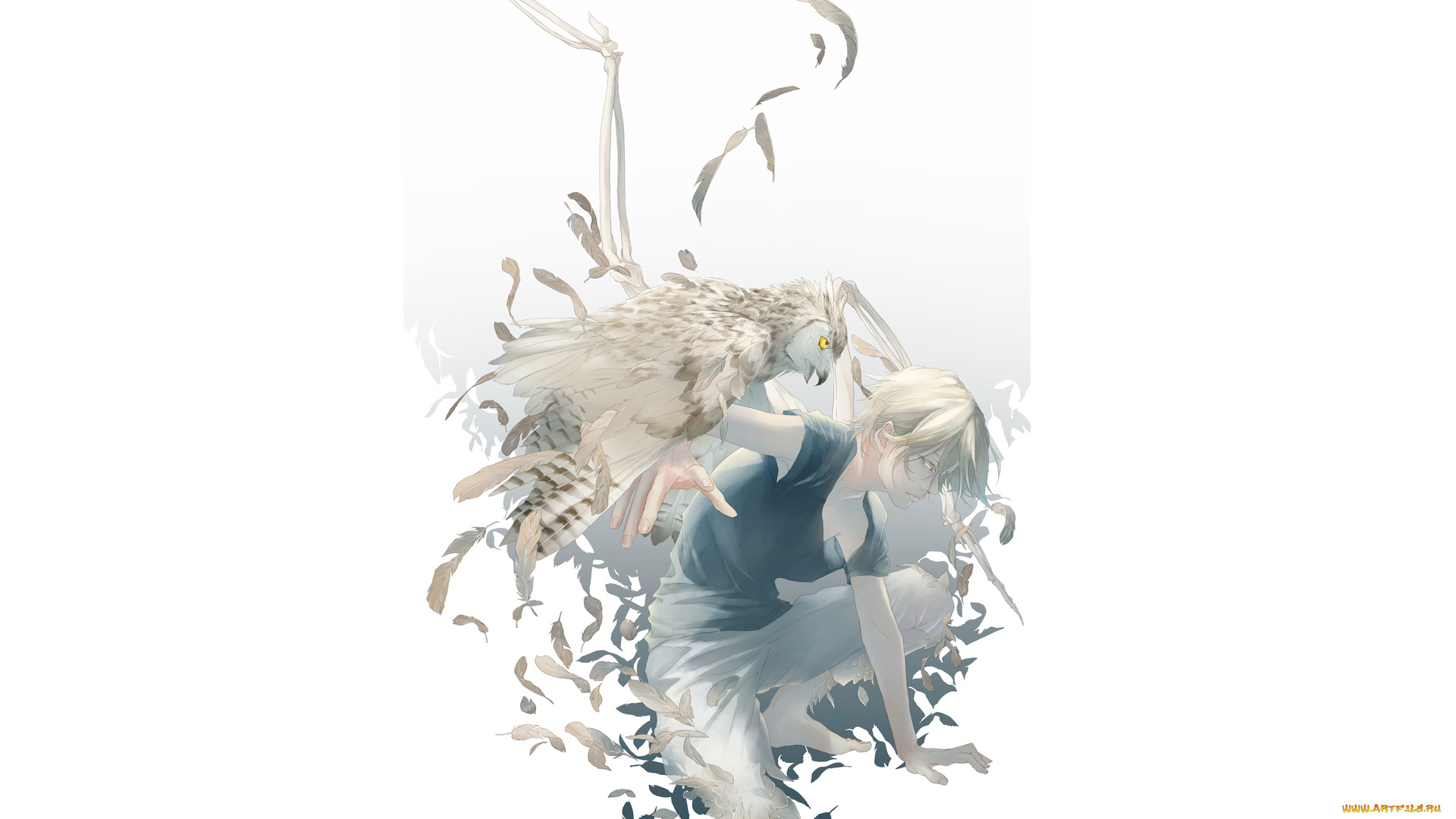 аниме, -animals, &, creatures, перья, сова, птица, парень, re, art