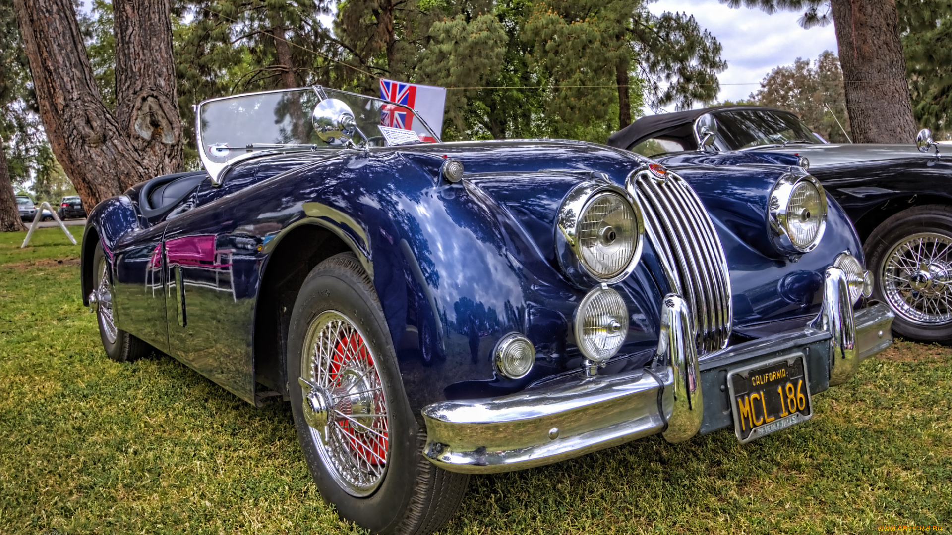 jaguar, xk140, roadster, автомобили, выставки, и, уличные, фото, автошоу, выставка