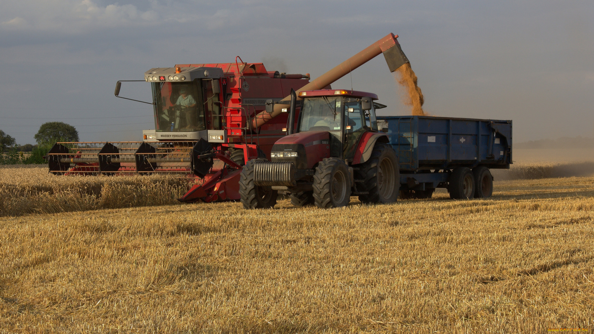 техника, комбайны, комбайн, поле