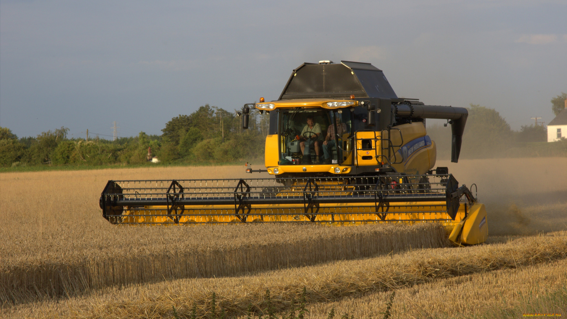 техника, комбайны, комбайн, поле