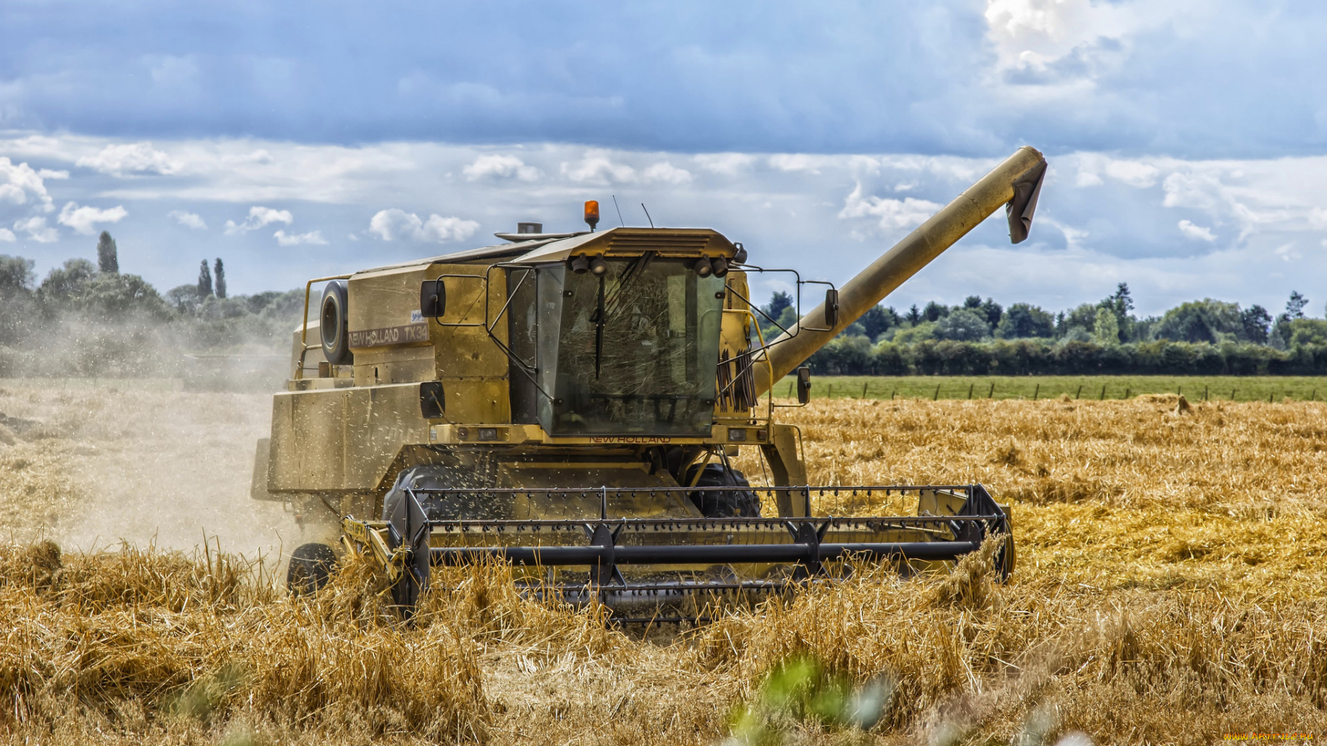 техника, комбайны, поле, комбайн