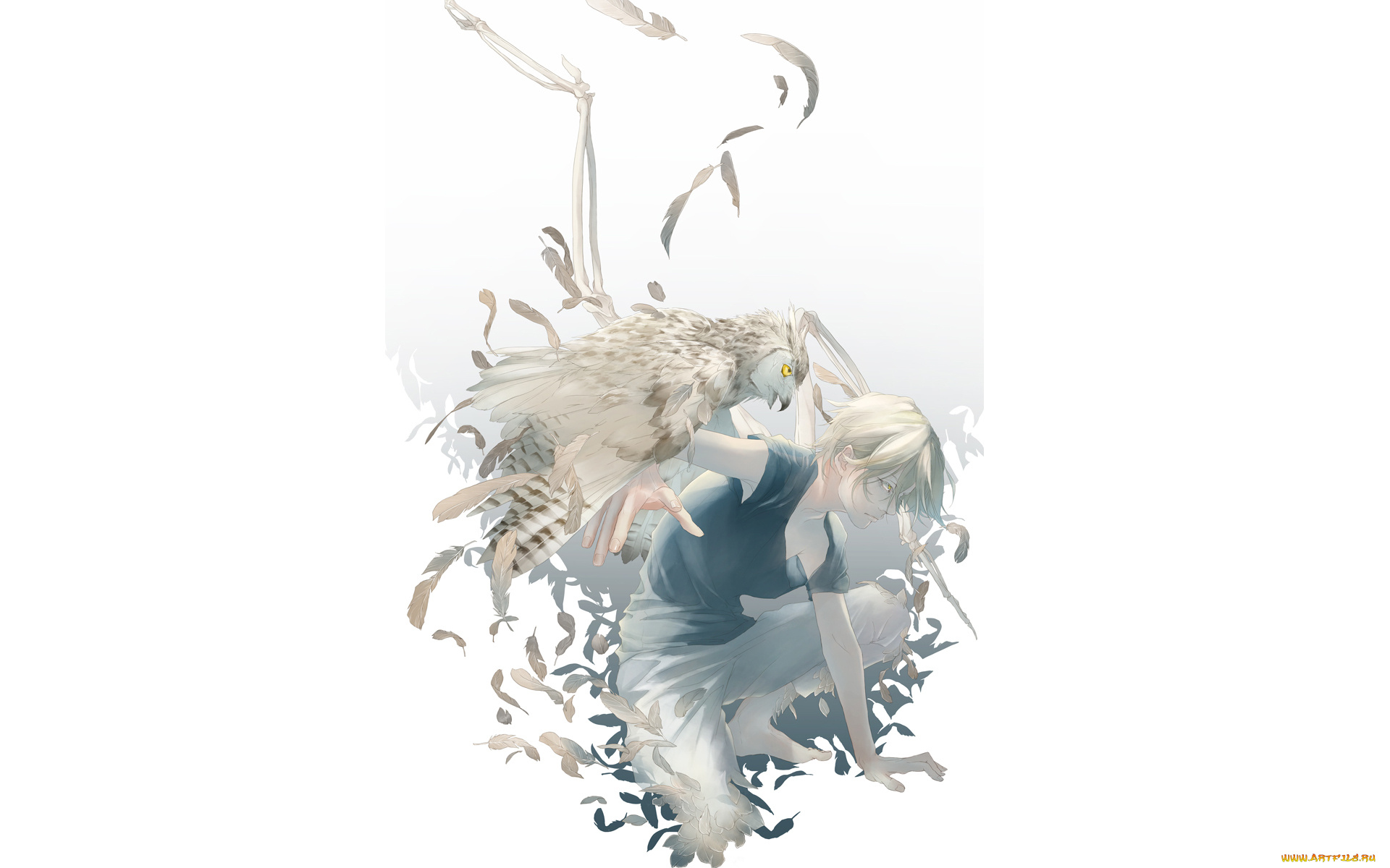 аниме, -animals, &, creatures, перья, сова, птица, парень, re, art