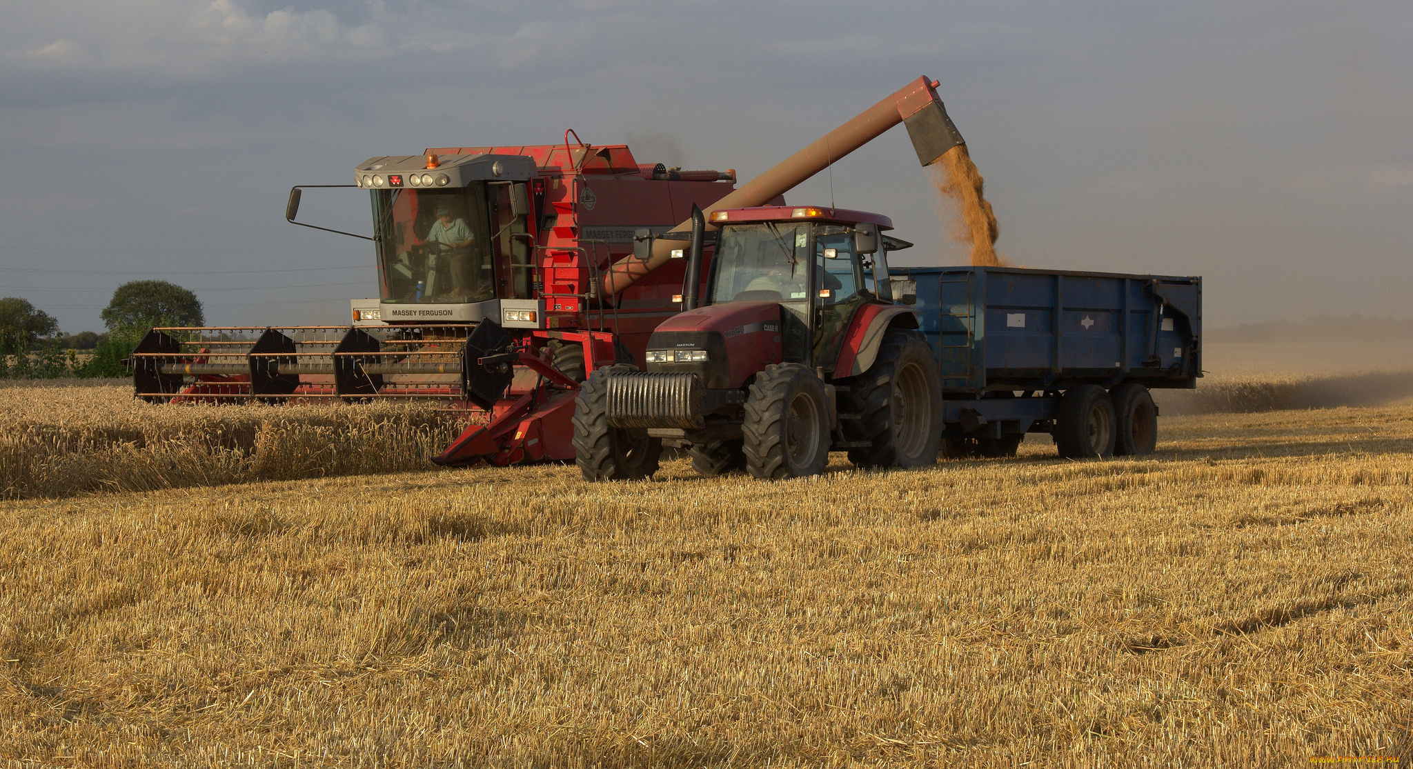 техника, комбайны, комбайн, поле