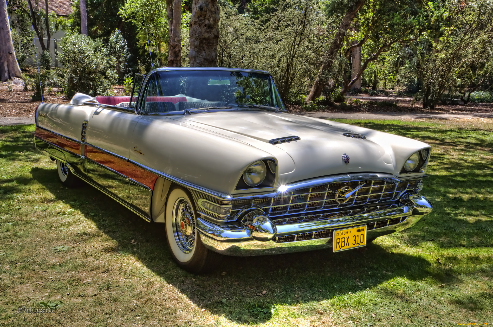 1956, packard, caribbean, автомобили, выставки, и, уличные, фото, автошоу, выставка