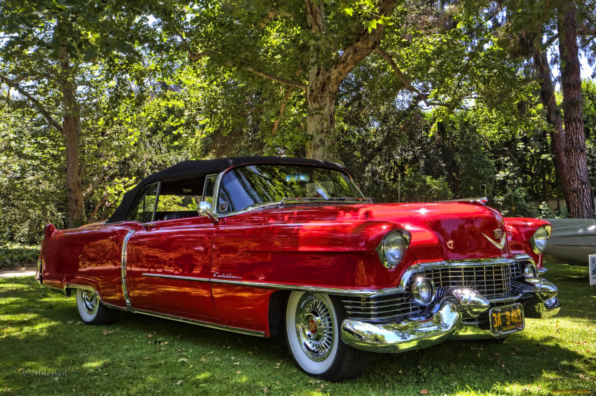 1954, cadillac, series, 62, convertible, автомобили, выставки, и, уличные, фото, выставка, автошоу