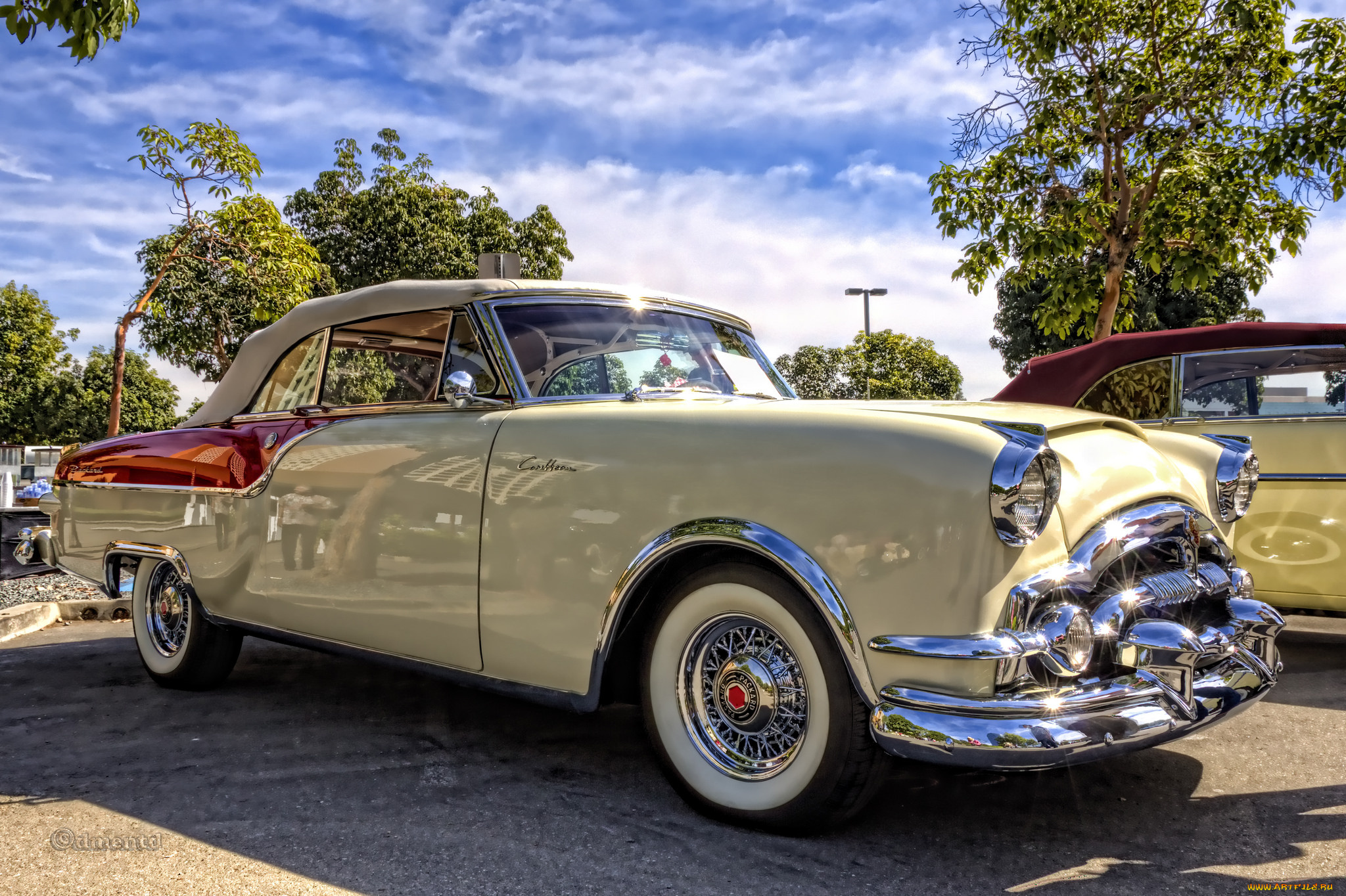 1954, packard, carribean, автомобили, выставки, и, уличные, фото, автошоу, выставка