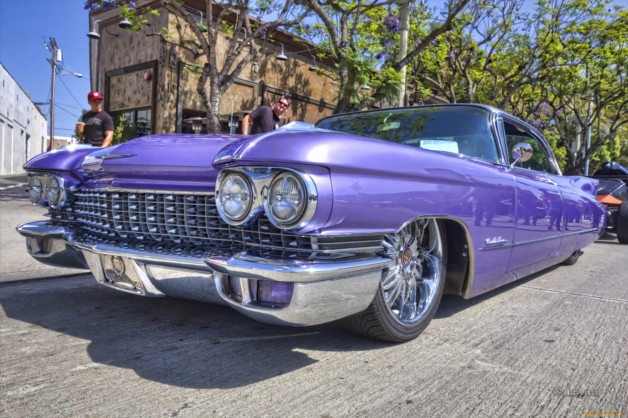 автомобили, выставки, и, уличные, фото, выставка, автошоу