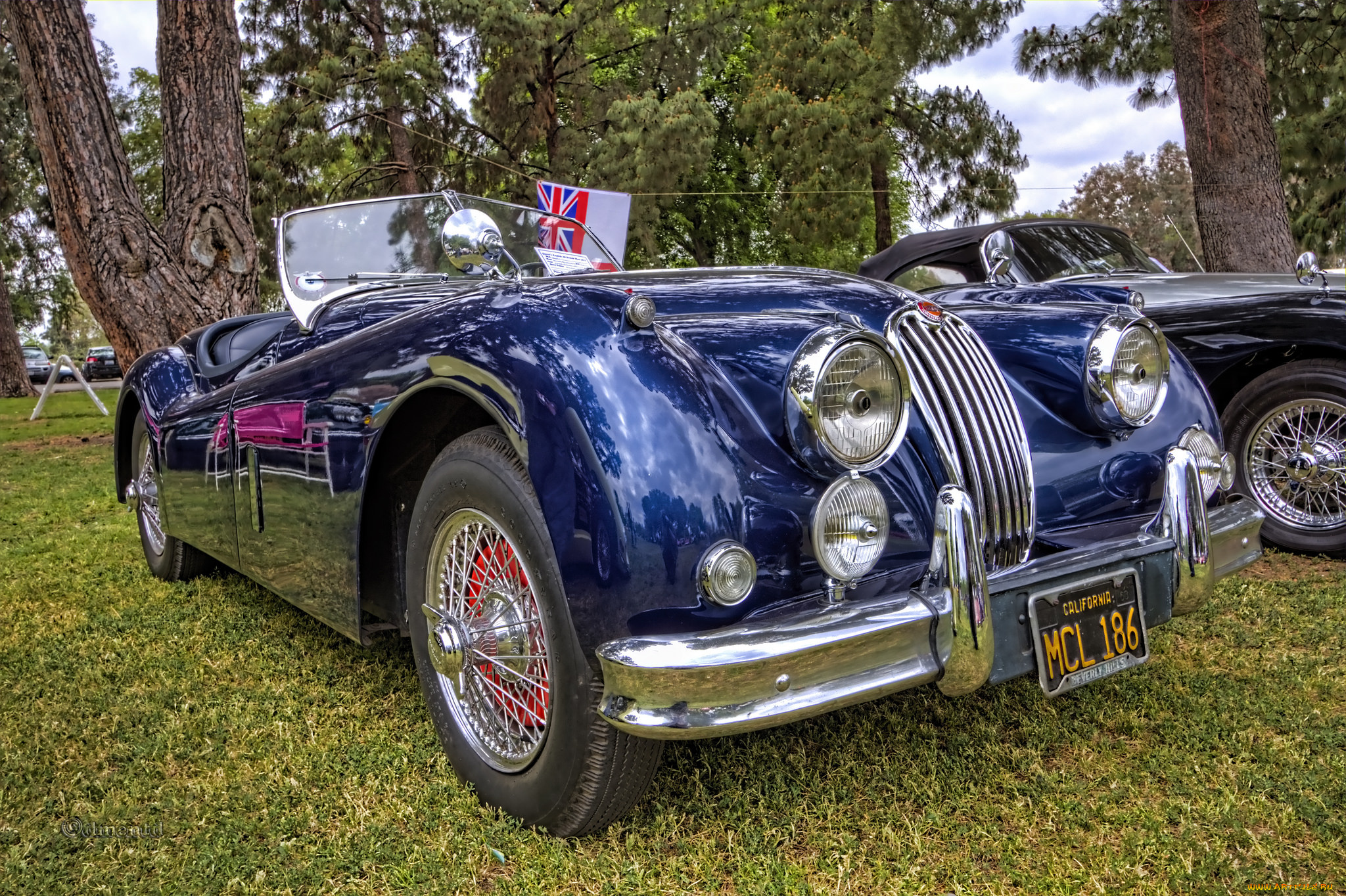 jaguar, xk140, roadster, автомобили, выставки, и, уличные, фото, автошоу, выставка