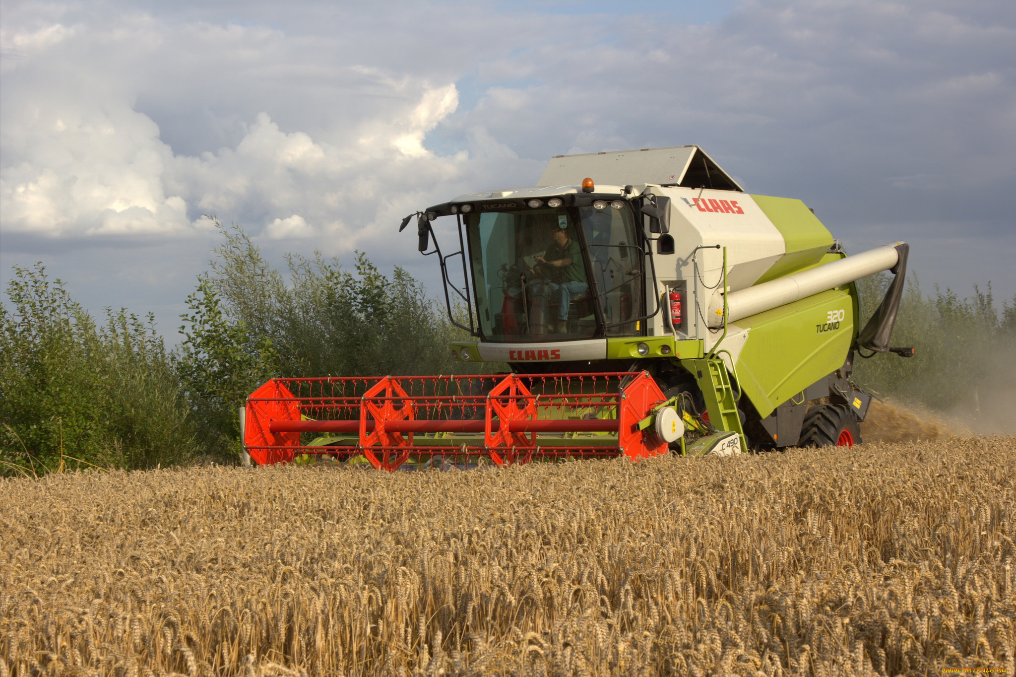 техника, комбайны, комбайн, поле