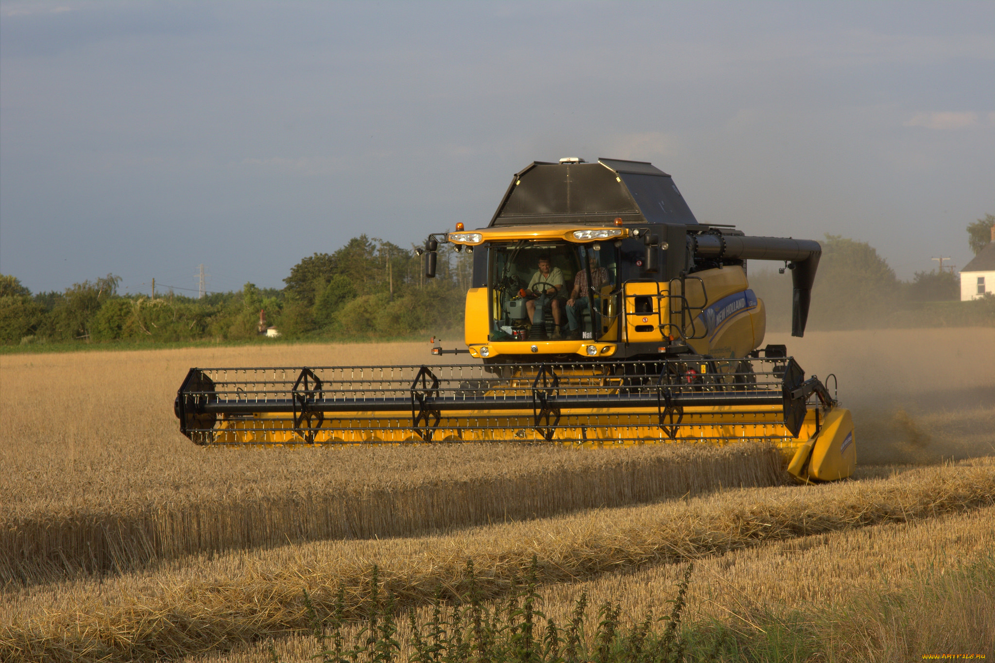 техника, комбайны, комбайн, поле