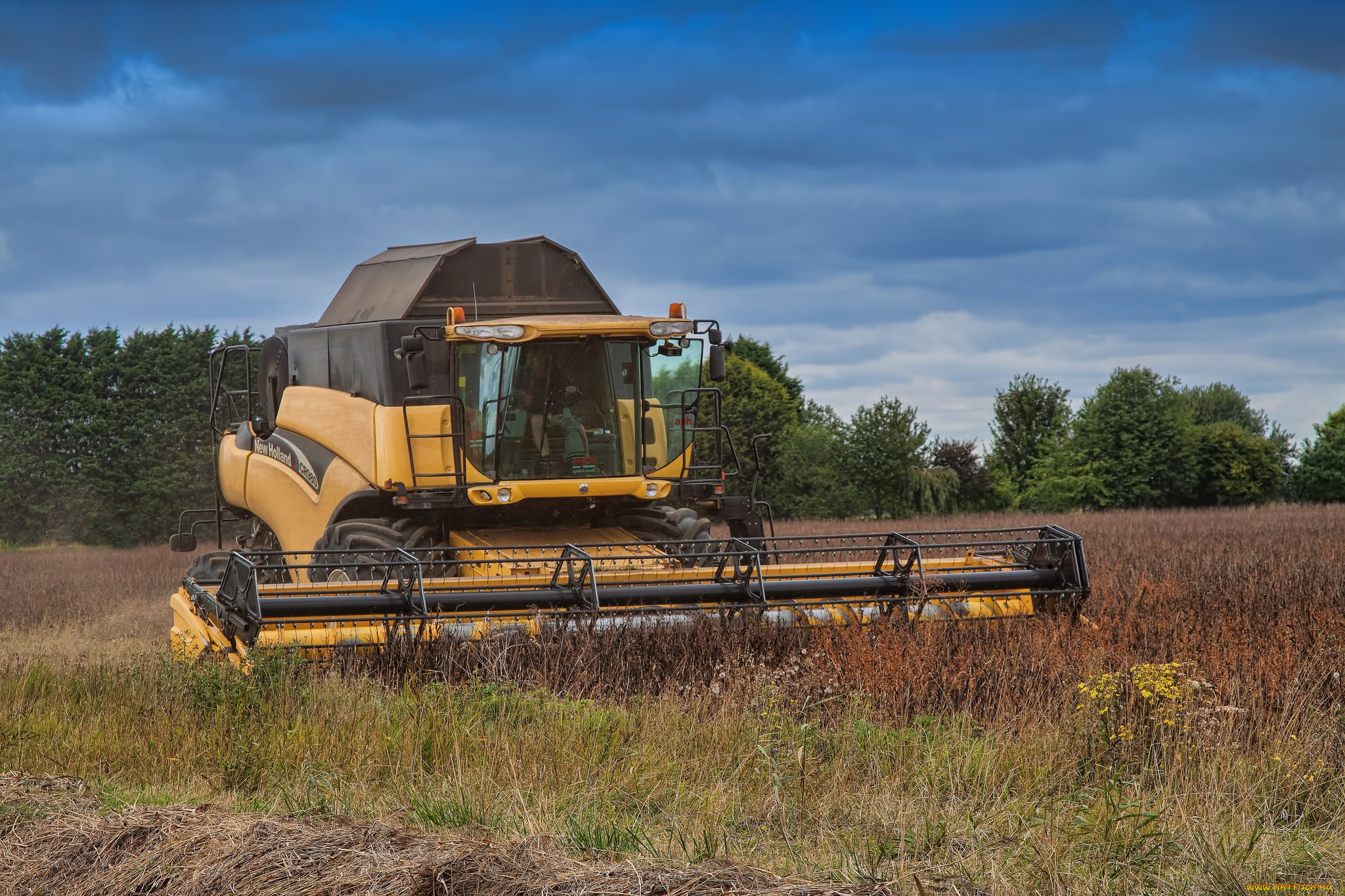 техника, комбайны, комбайн, поле