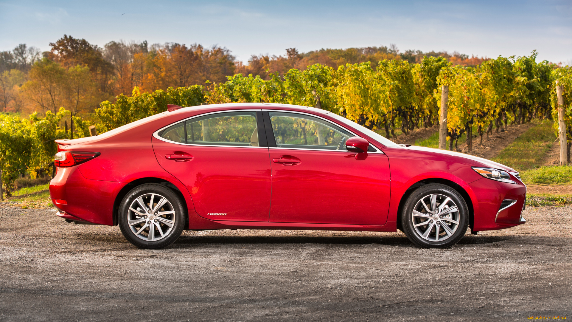 автомобили, lexus, красный, xv60, es, 300h, 2016г