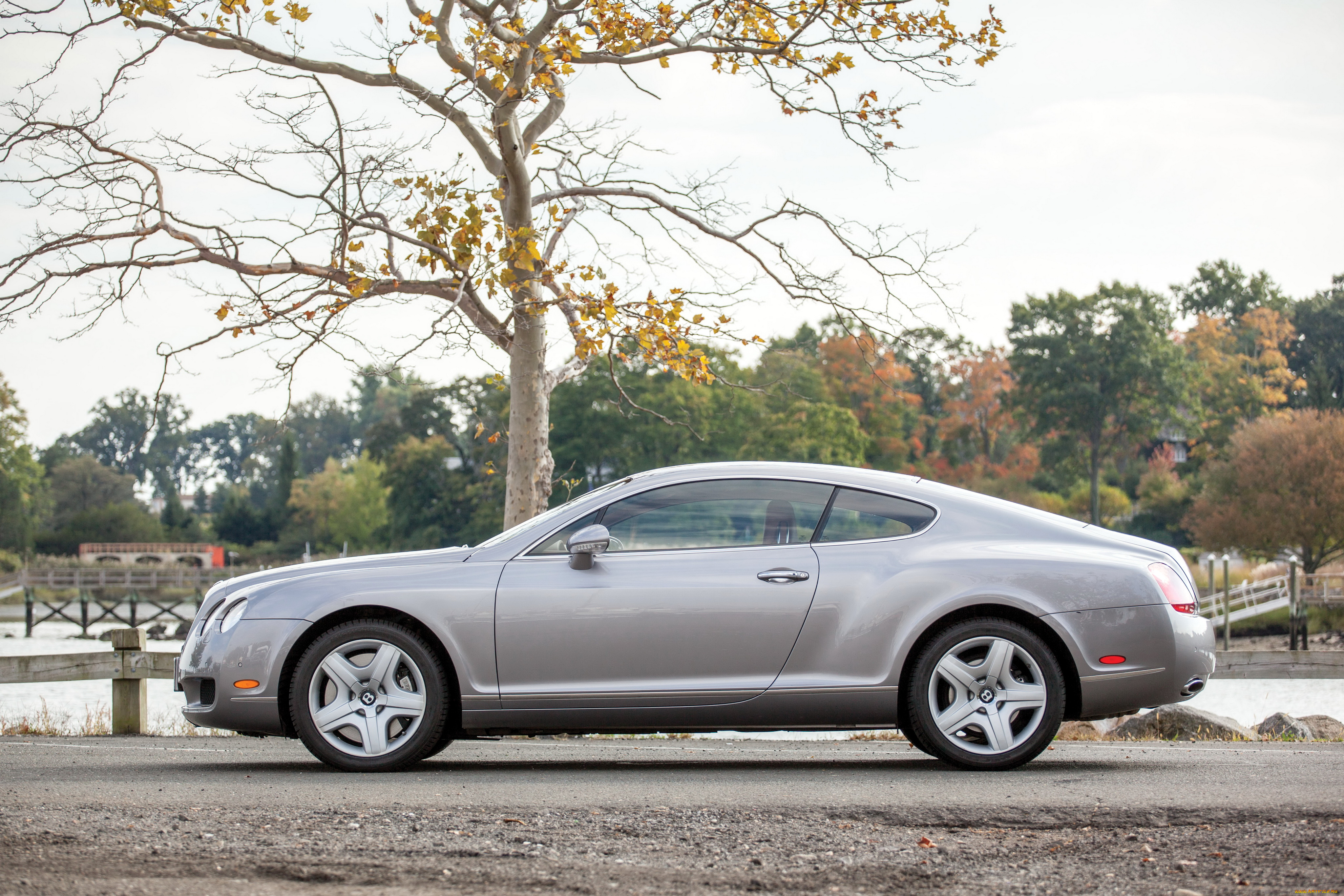 автомобили, bentley, continental, gt, us-spec