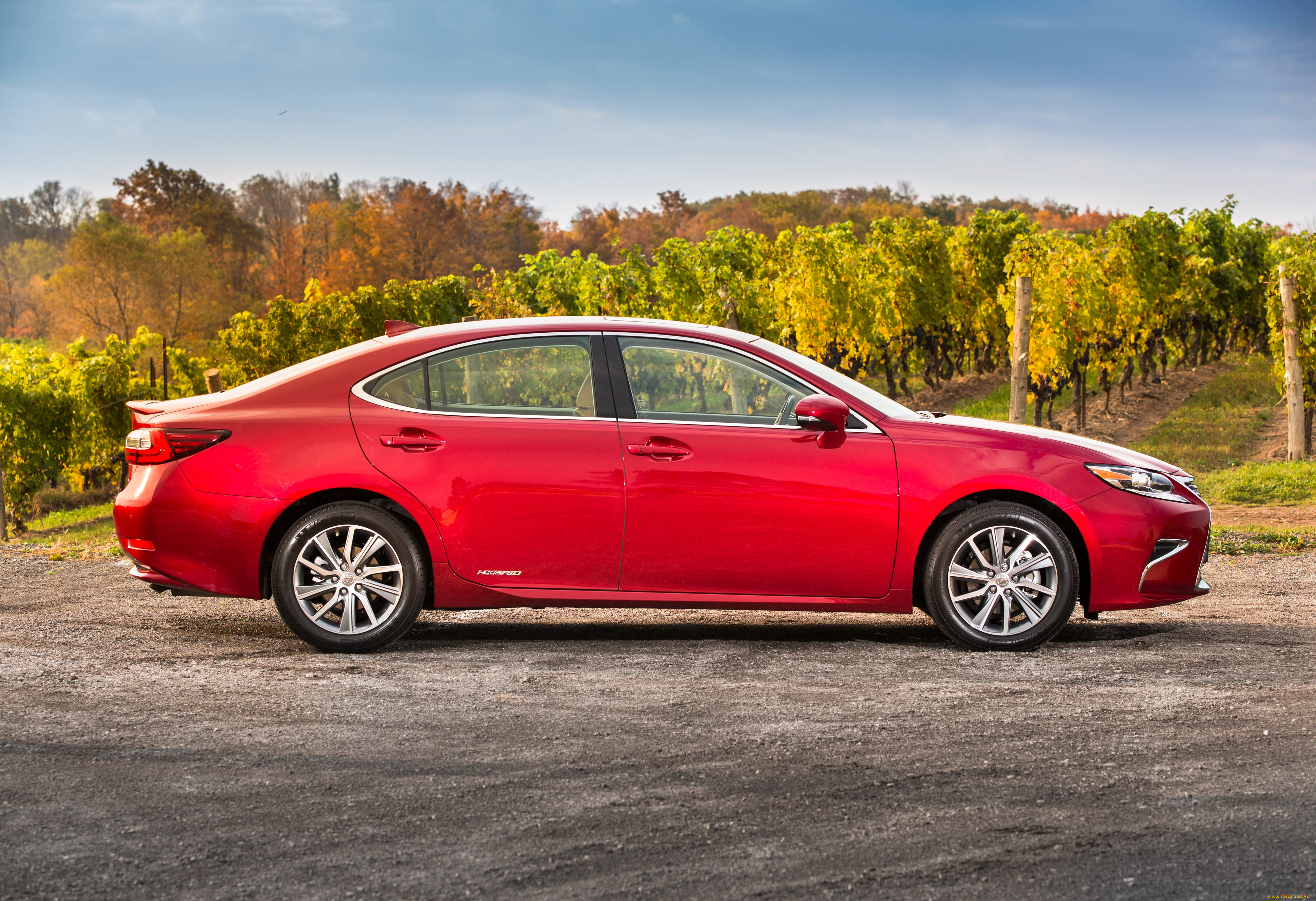 автомобили, lexus, красный, xv60, es, 300h, 2016г