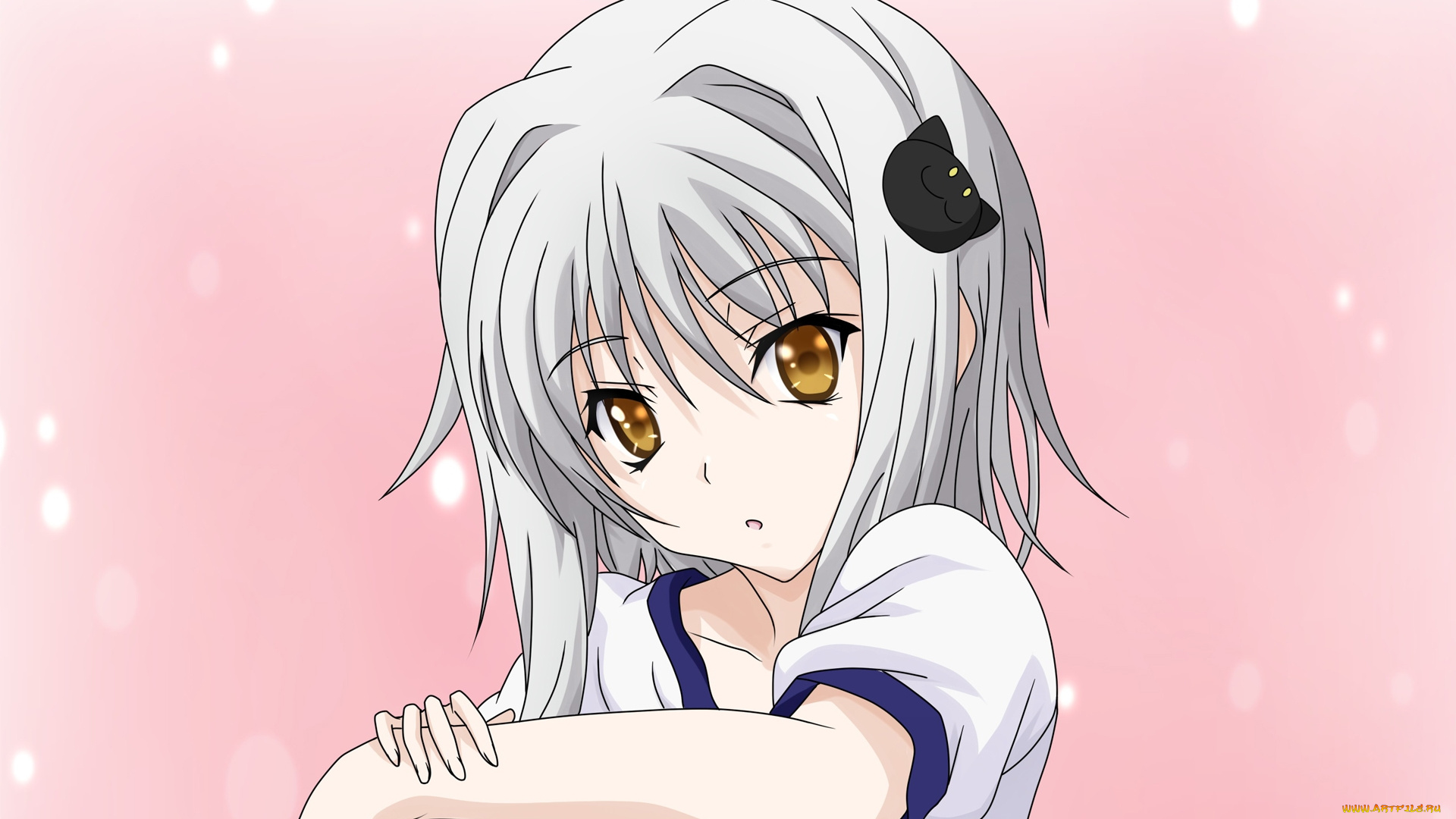 аниме, highschool, dxd, взгляд, фон, девушка