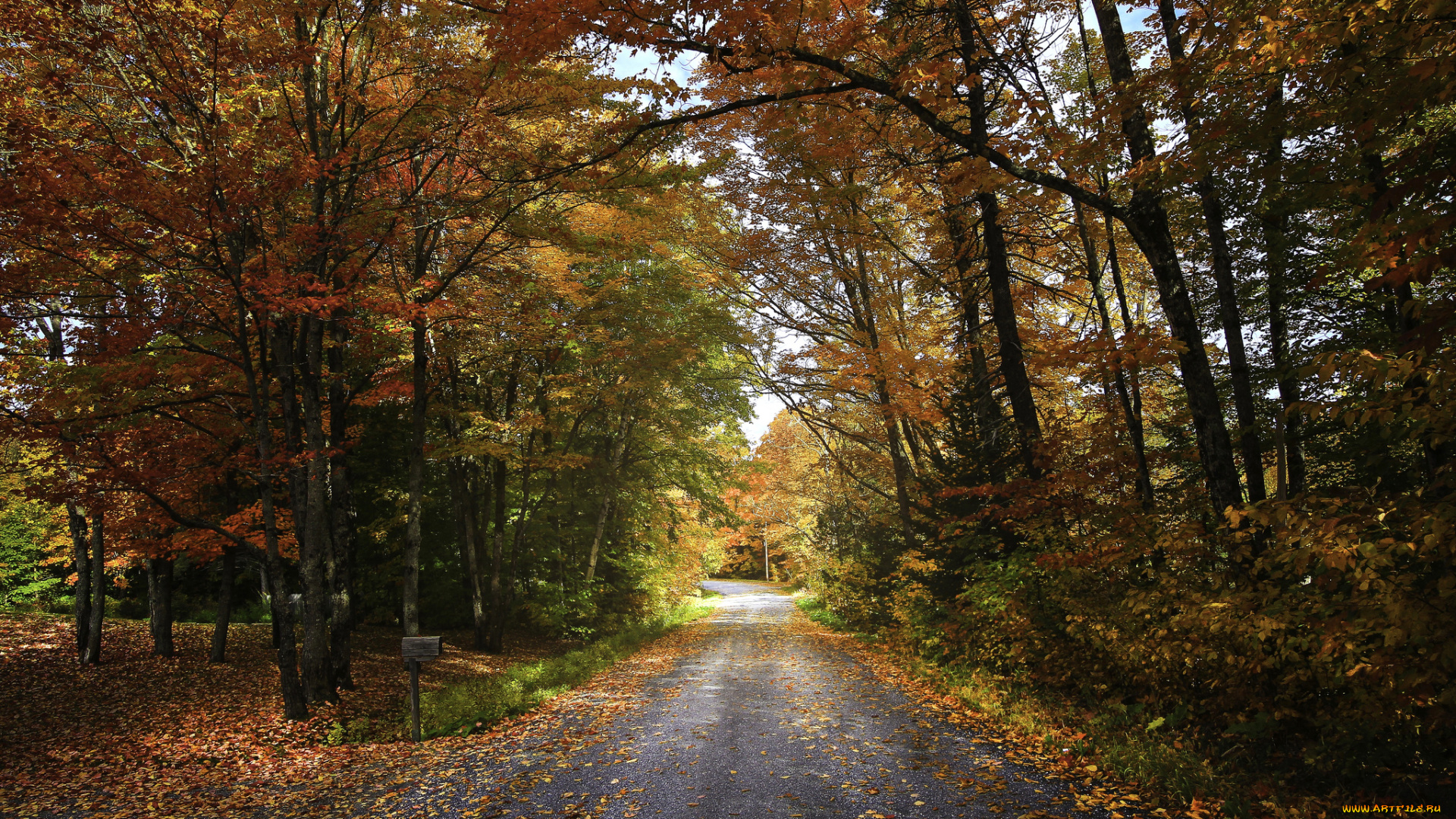 природа, дороги, тракт