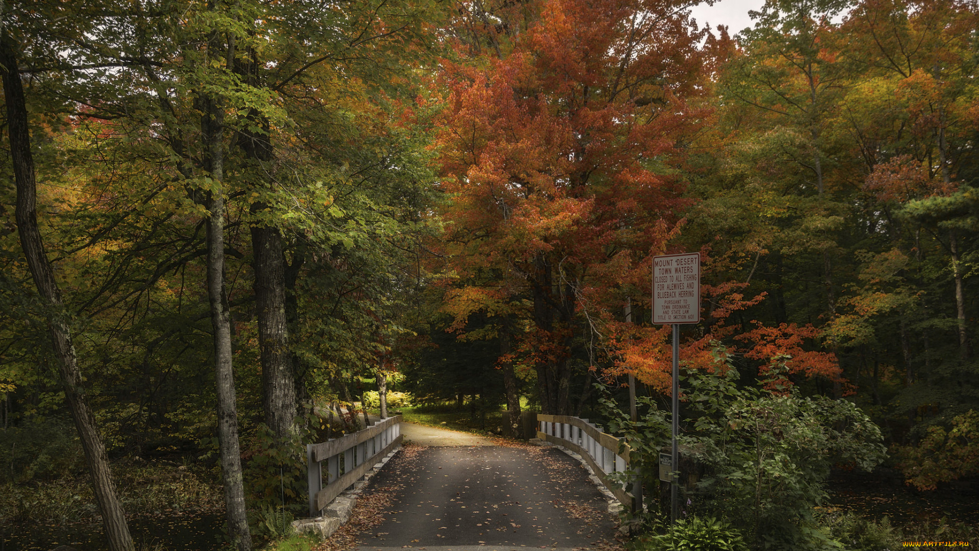 природа, дороги, тракт