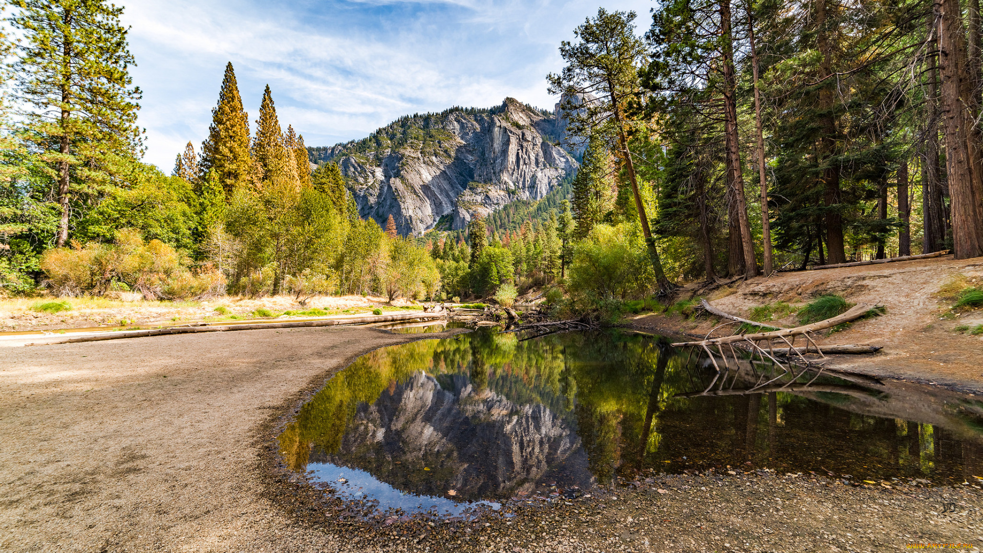 природа, реки, озера, лес, река