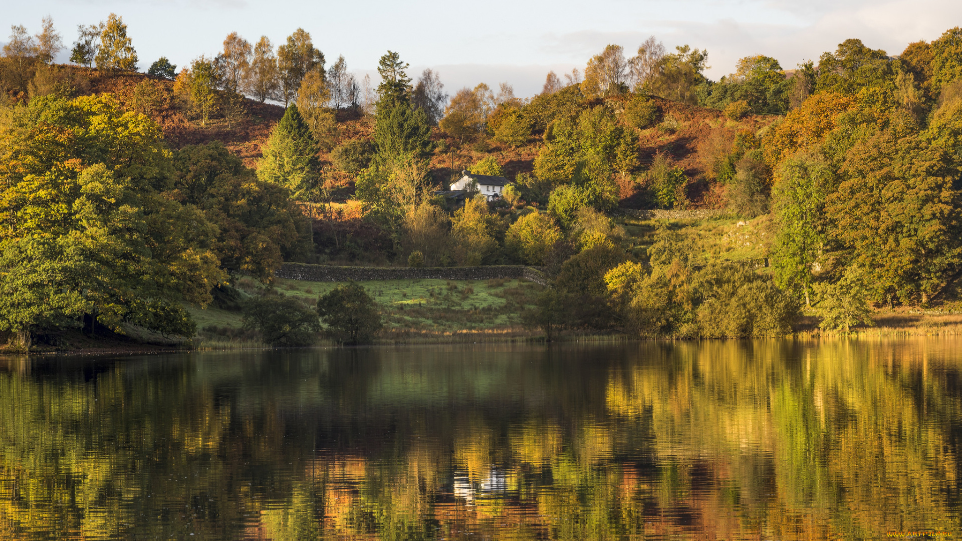 природа, реки, озера, лес, река