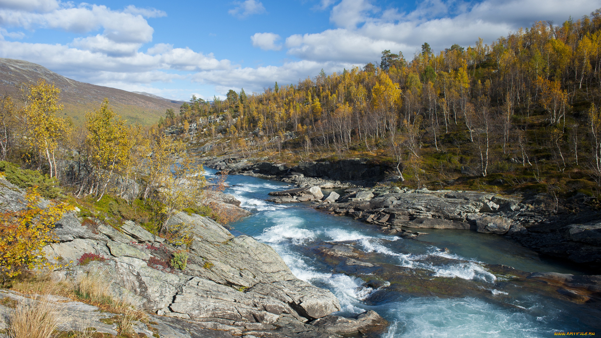 природа, реки, озера, река, лес
