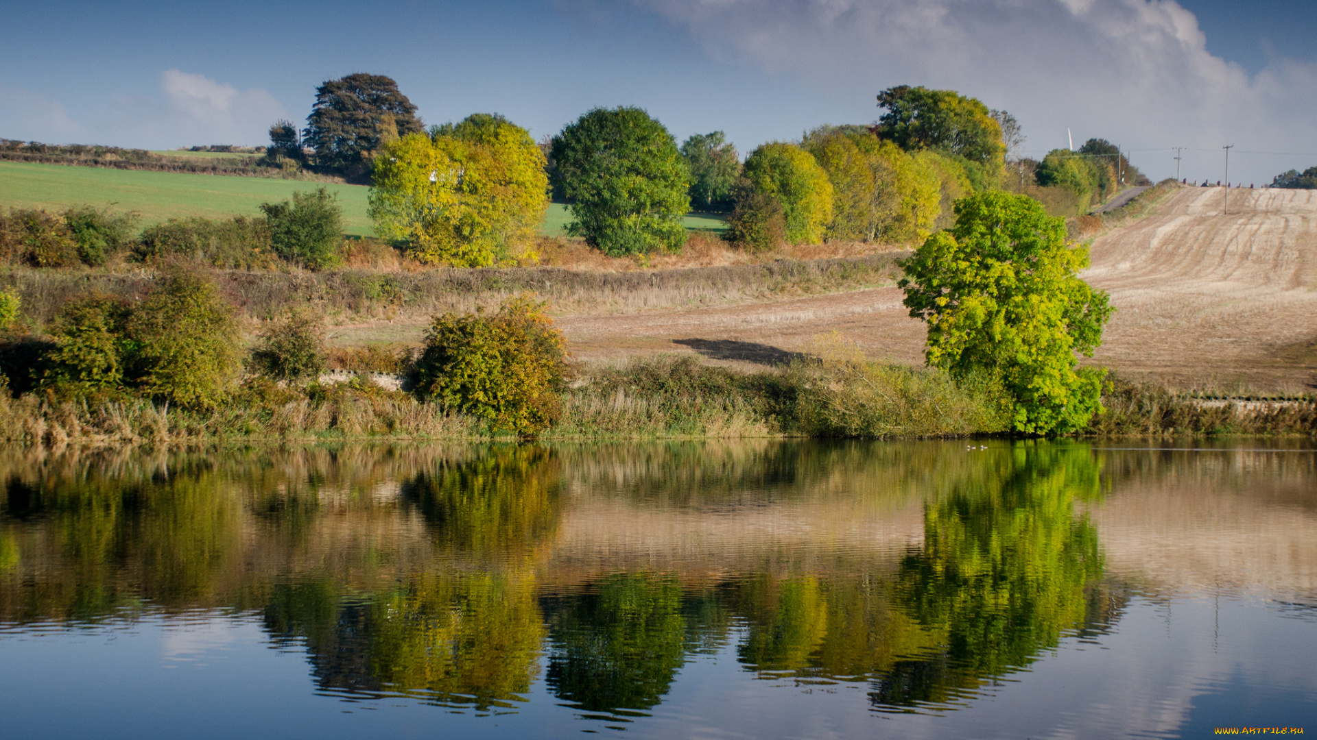 природа, реки, озера, река, лес