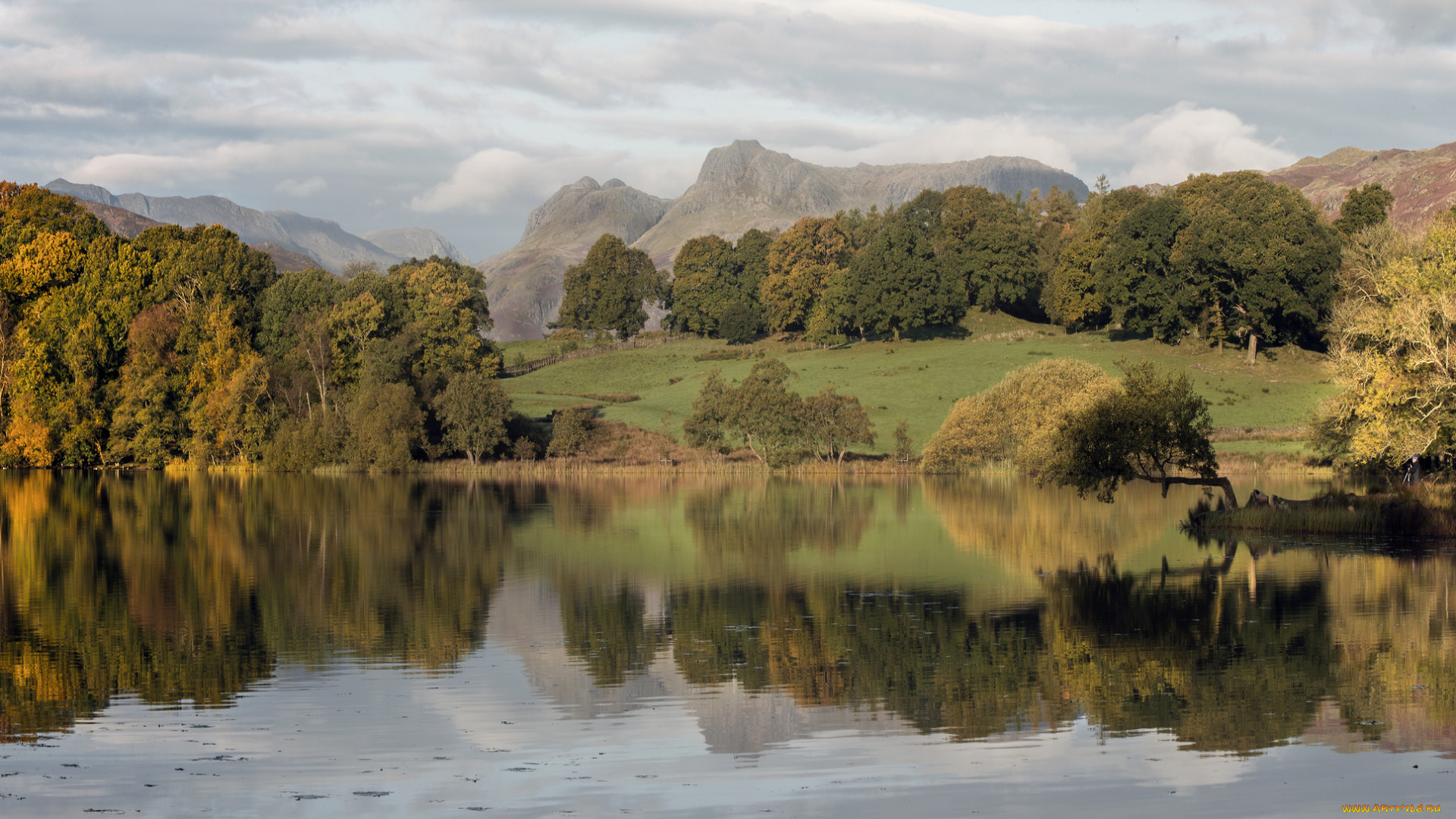 природа, реки, озера, река, лес