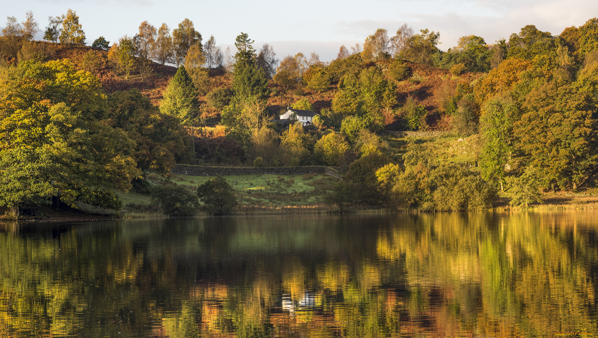 природа, реки, озера, лес, река