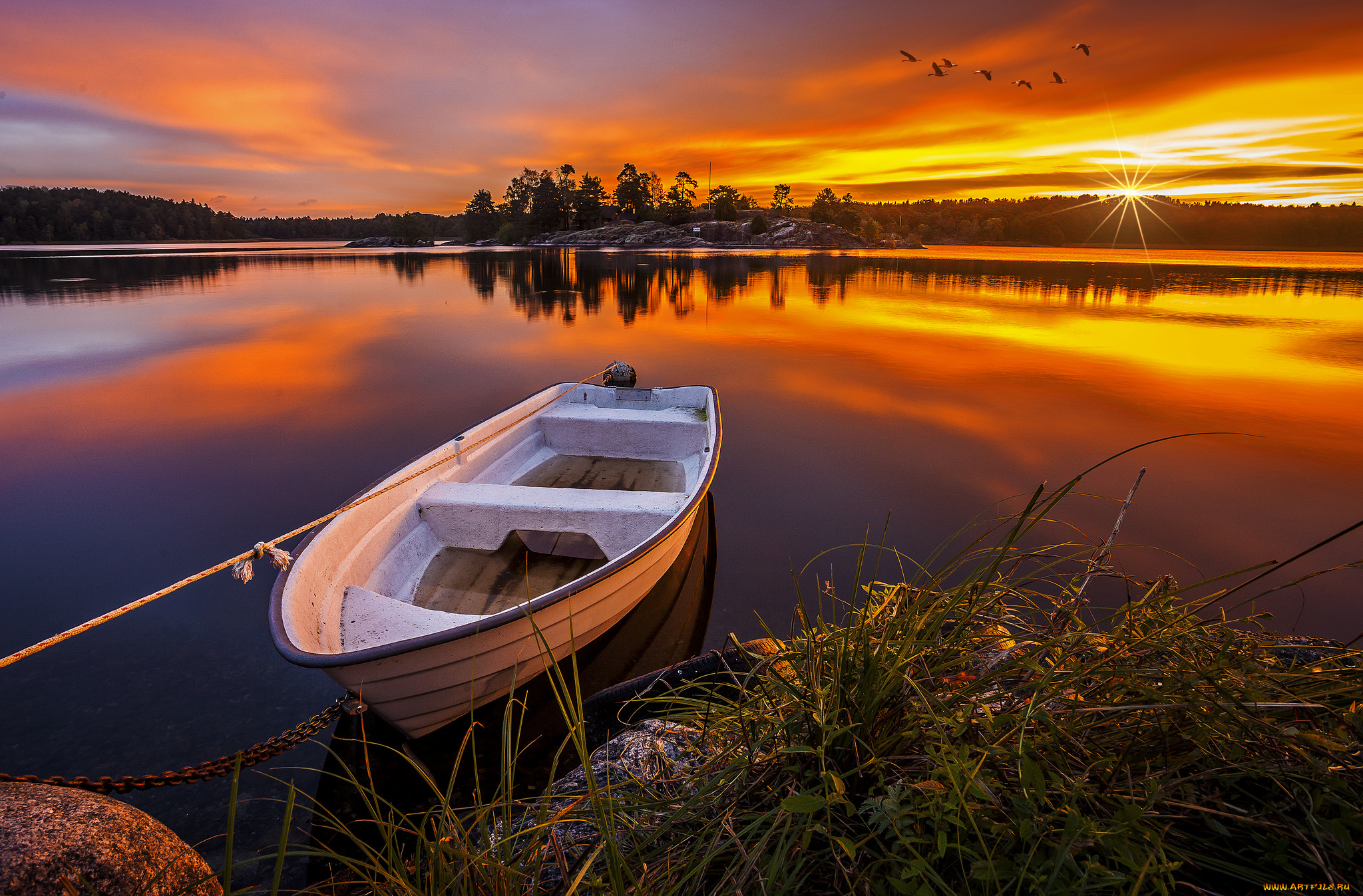 корабли, лодки, , шлюпки, лес, река