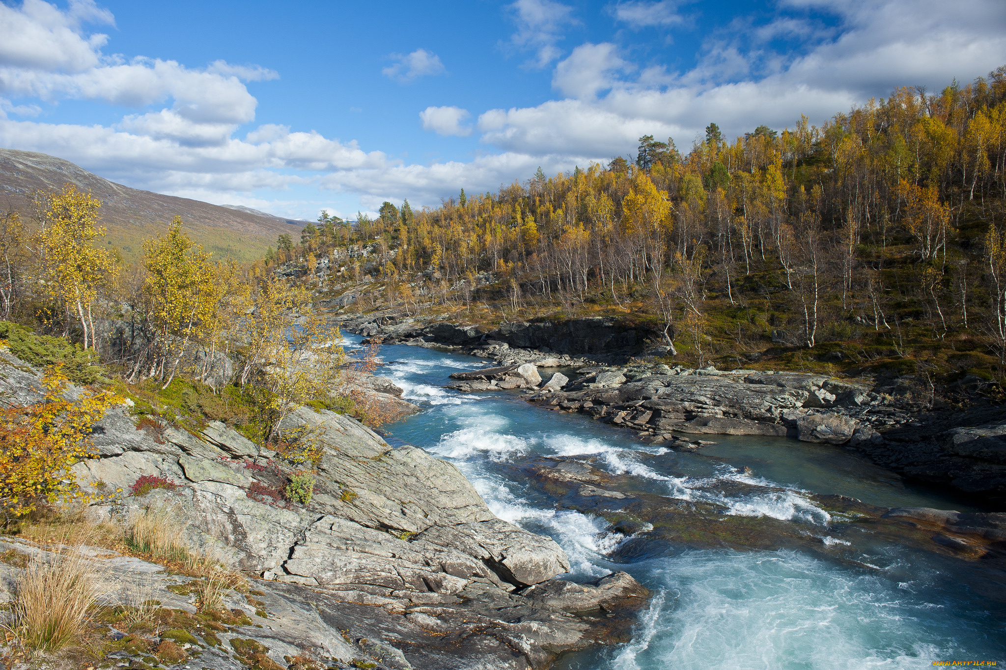 природа, реки, озера, река, лес