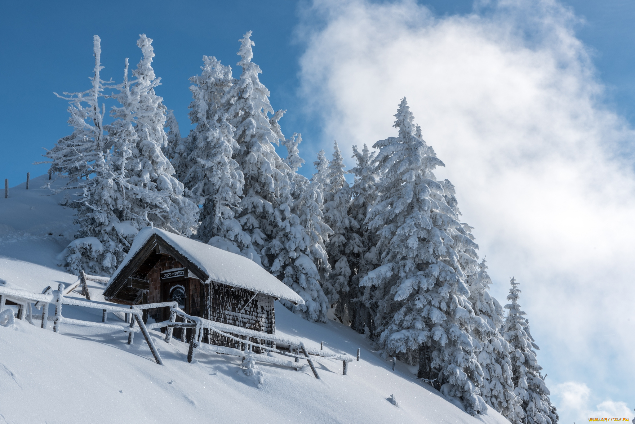 природа, зима, снег