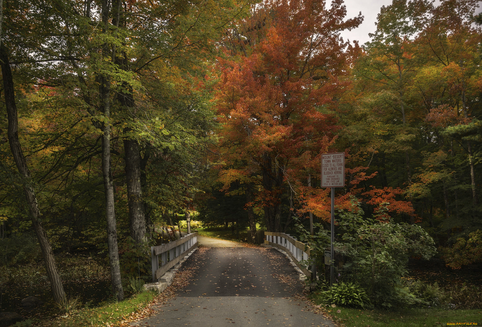 природа, дороги, тракт