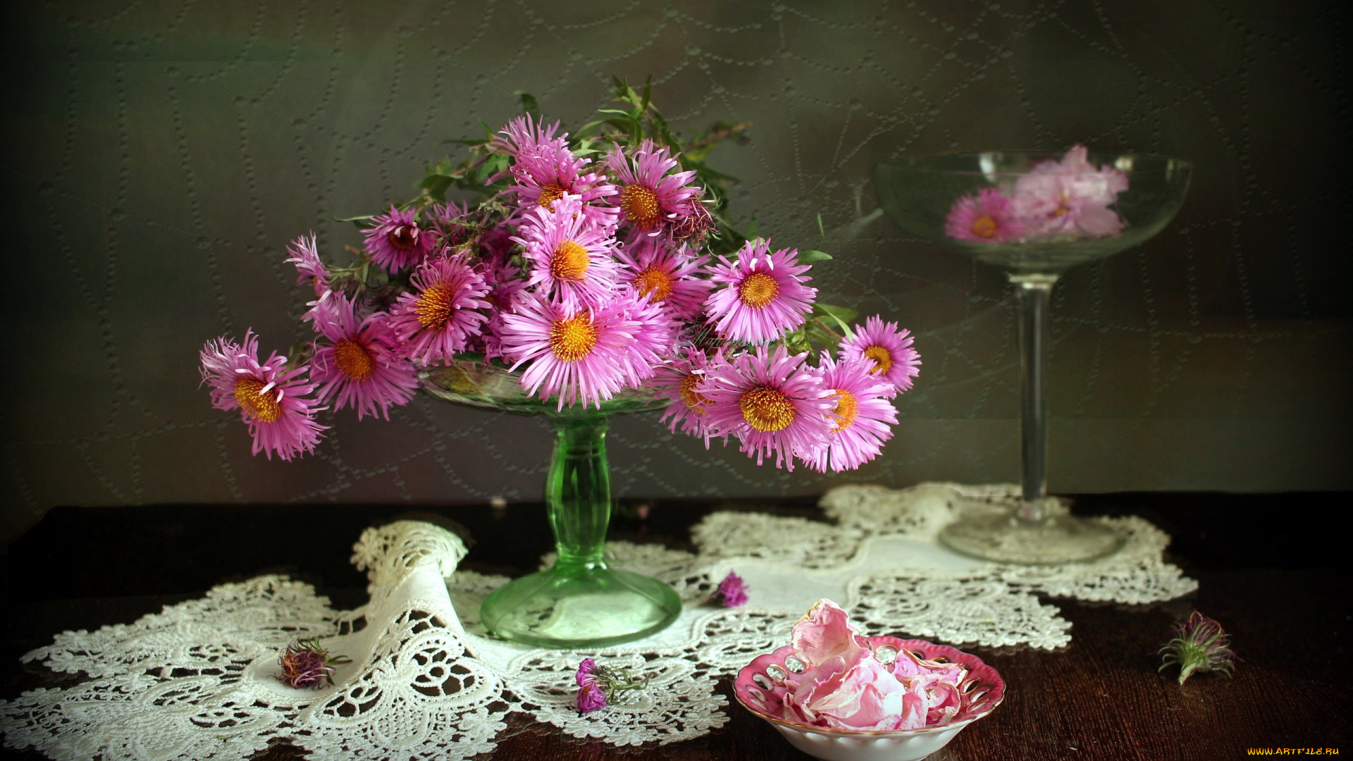 цветы, астры, композиция