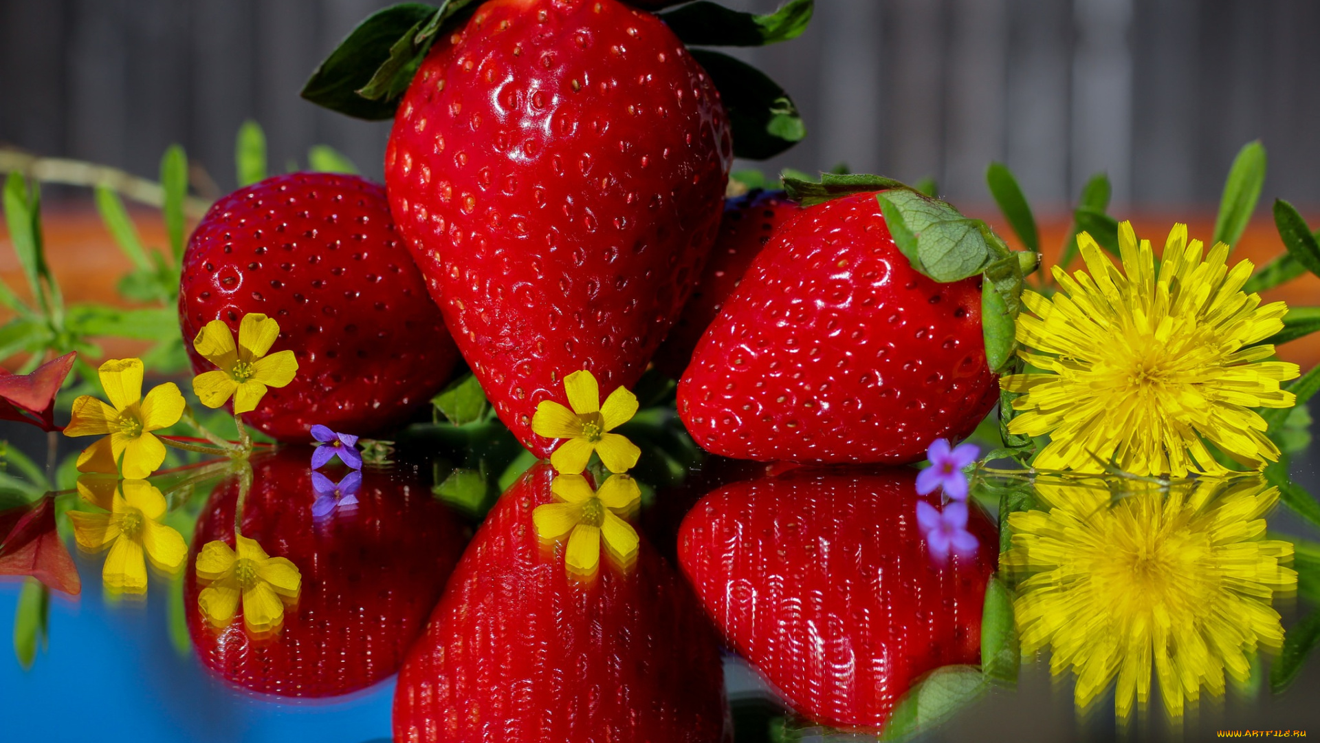 еда, клубника, , земляника, одуванчик, ягоды, цветы, листья