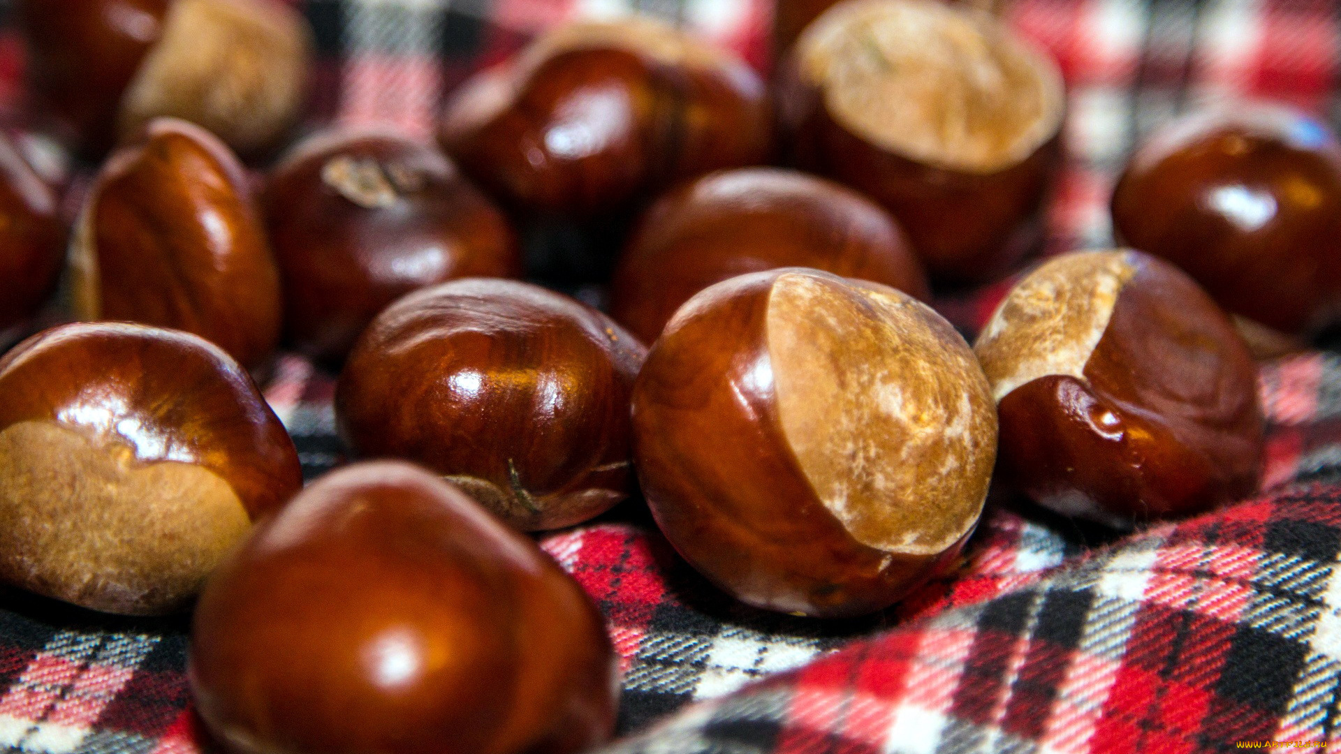 еда, орехи, , каштаны, , какао-бобы, каштаны