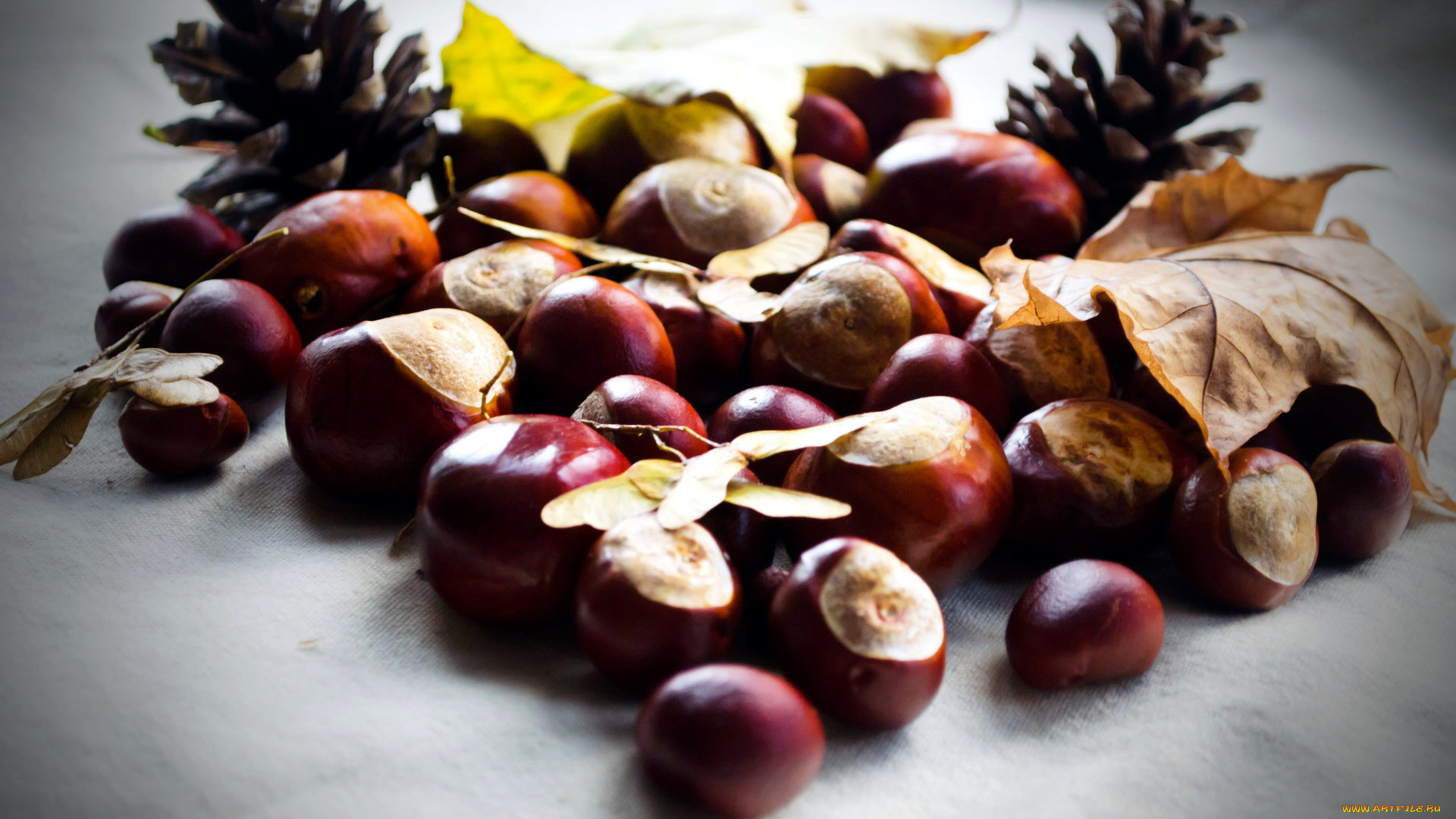 еда, орехи, , каштаны, , какао-бобы, каштаны