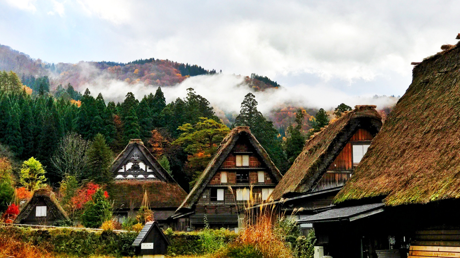 города, -, здания, , дома, shirakawa, japan