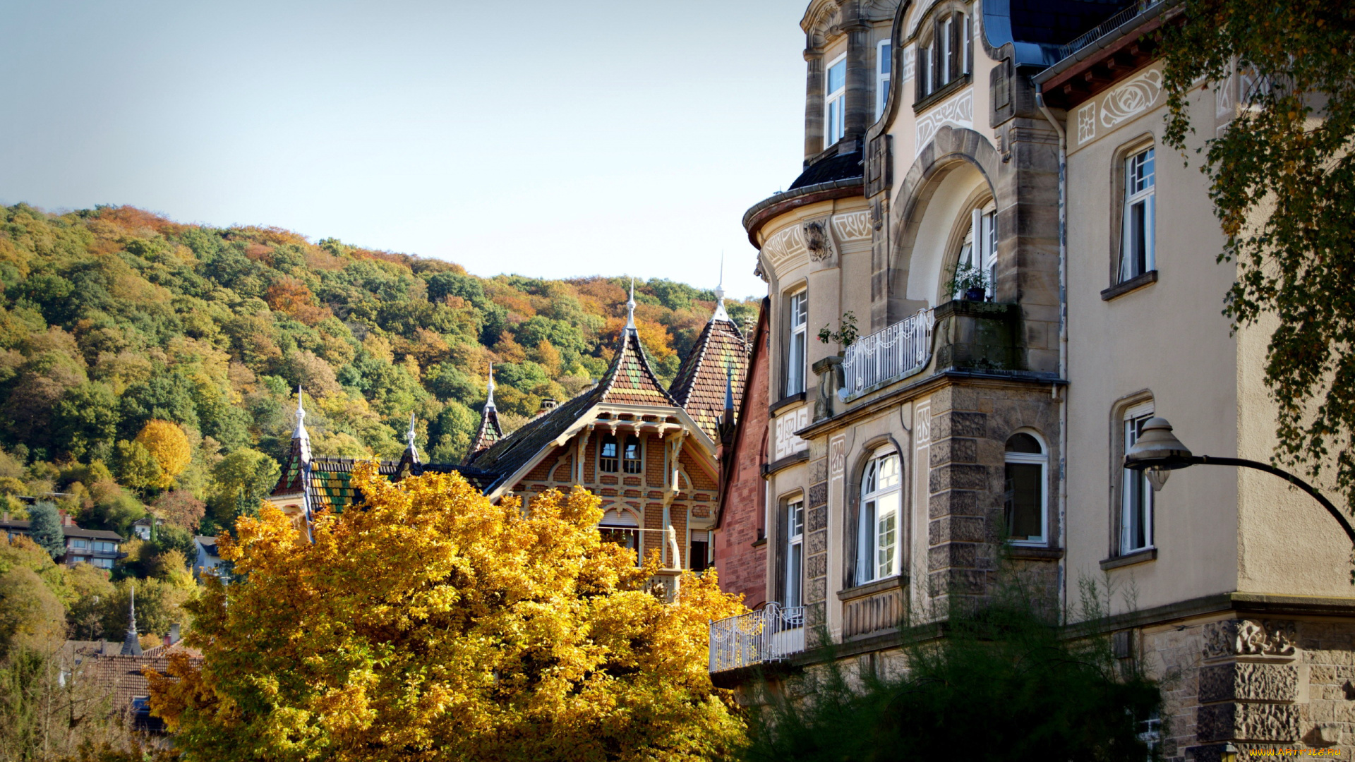 города, гейдельберг, , германия, деревья, дом, осень