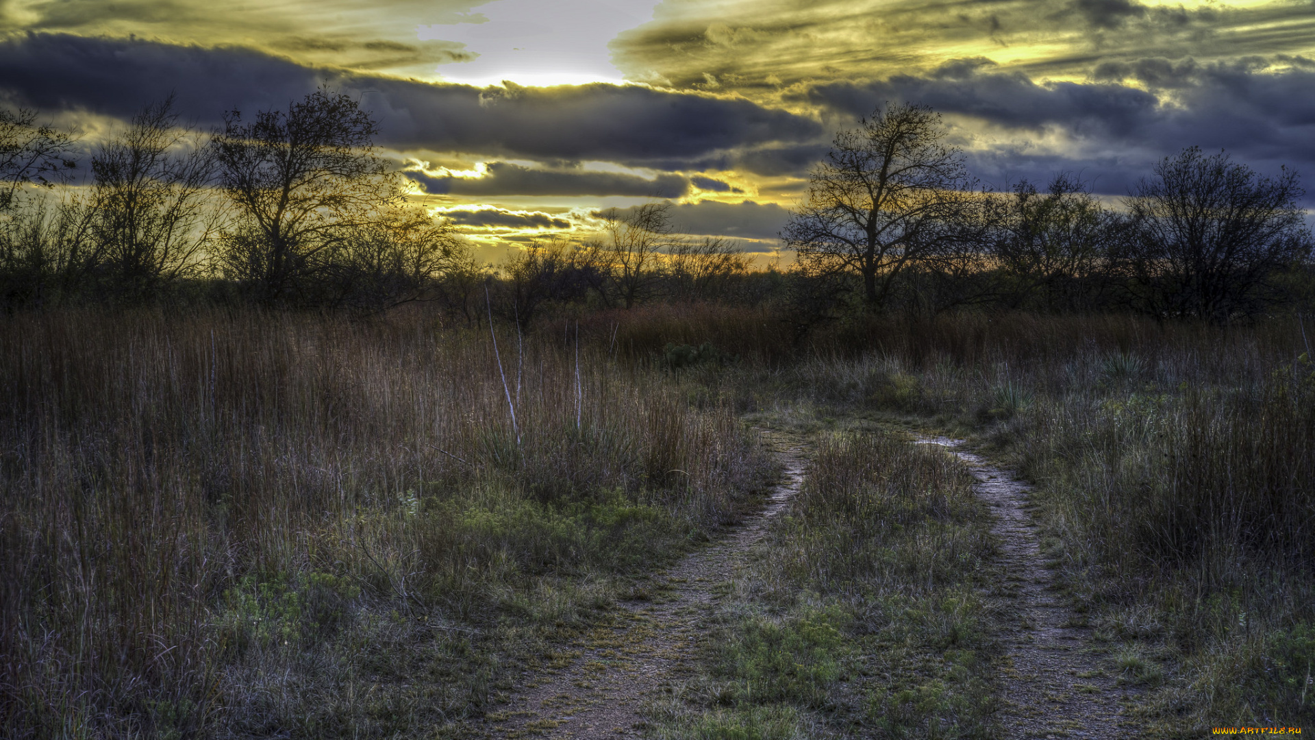 природа, дороги, простор