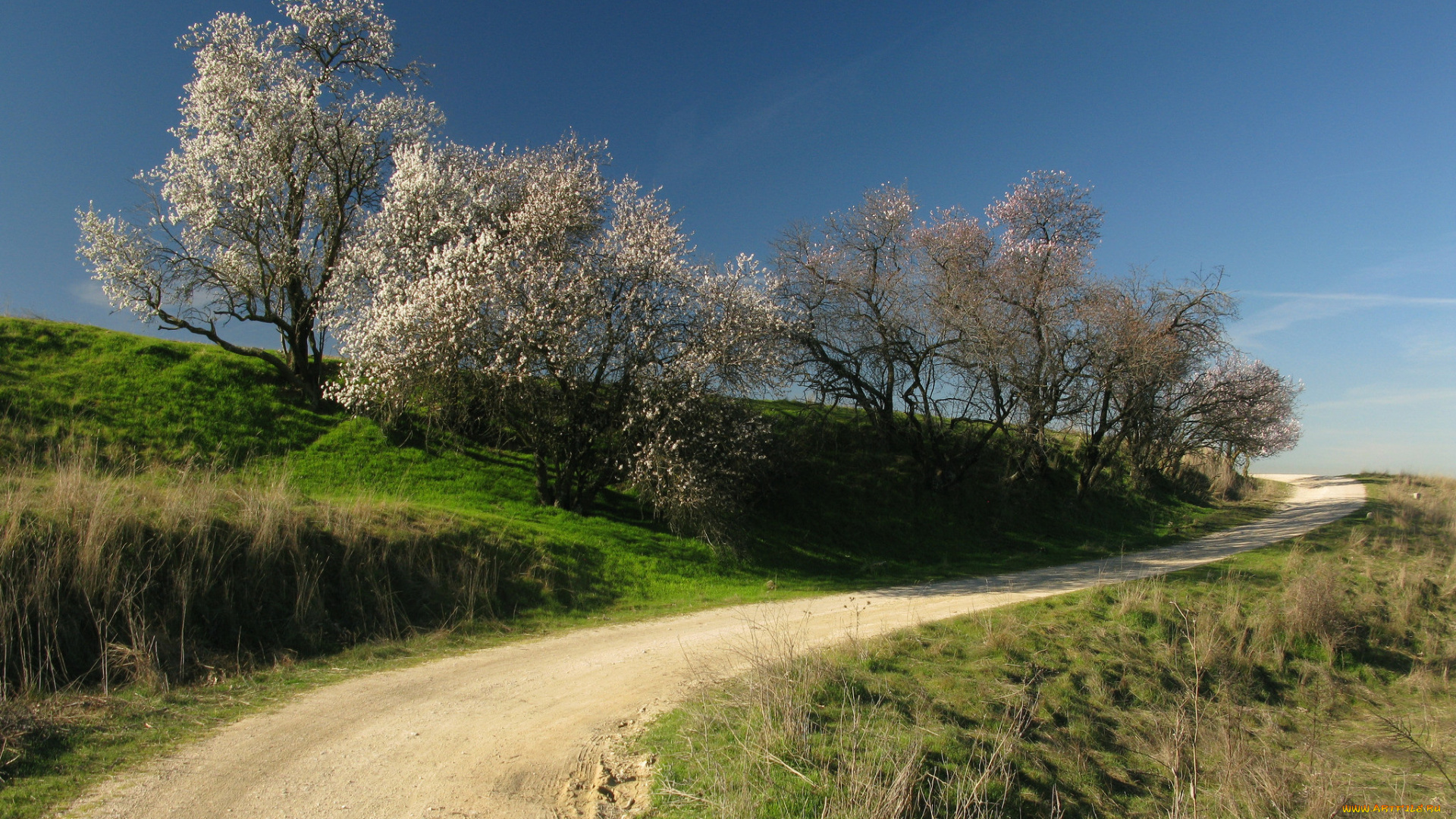 природа, дороги, простор